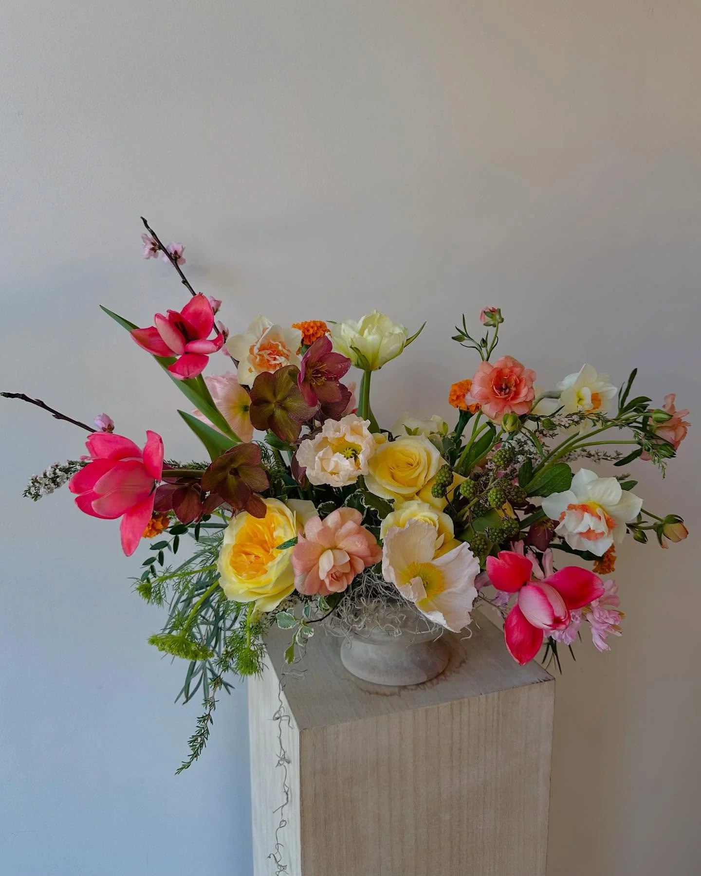 spring has arrived at our Greenville flower shop! featuring daffodils, tulips, and poppies from @petalpickers