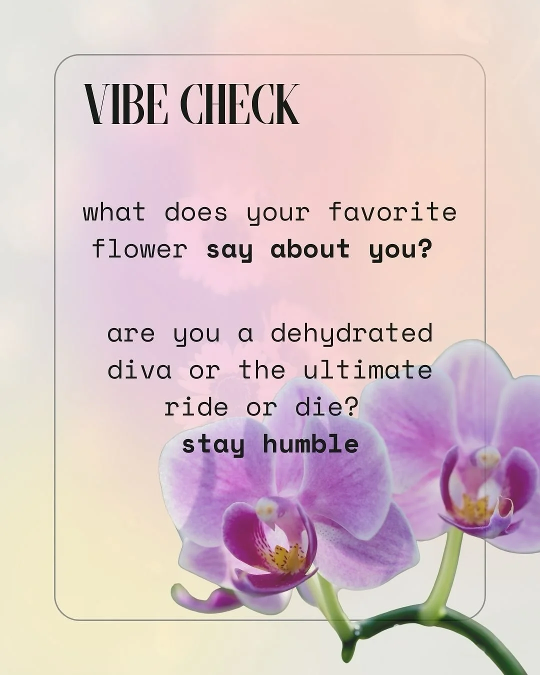 vibe check - flower edition. stay humble and tag a friend