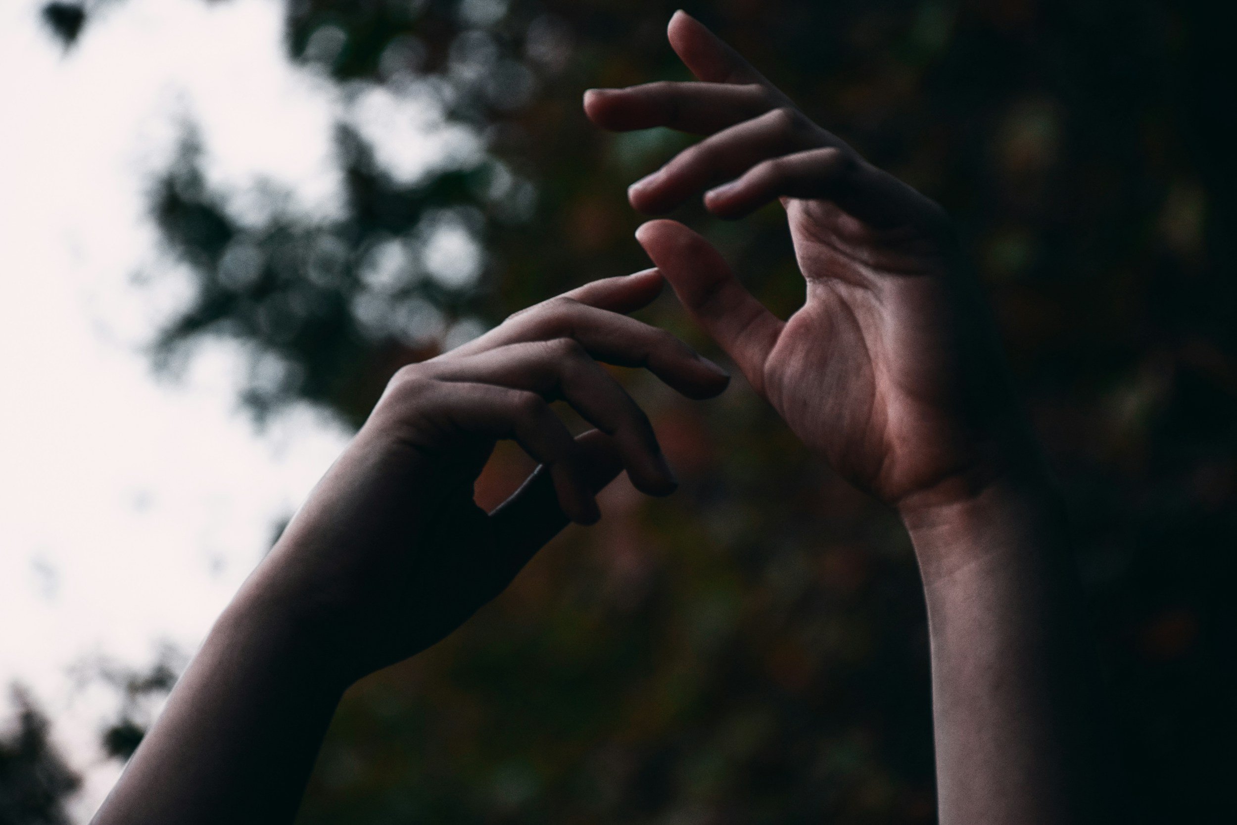 Two hands reaching towards each other, with a blurred outdoor background of trees and sky.