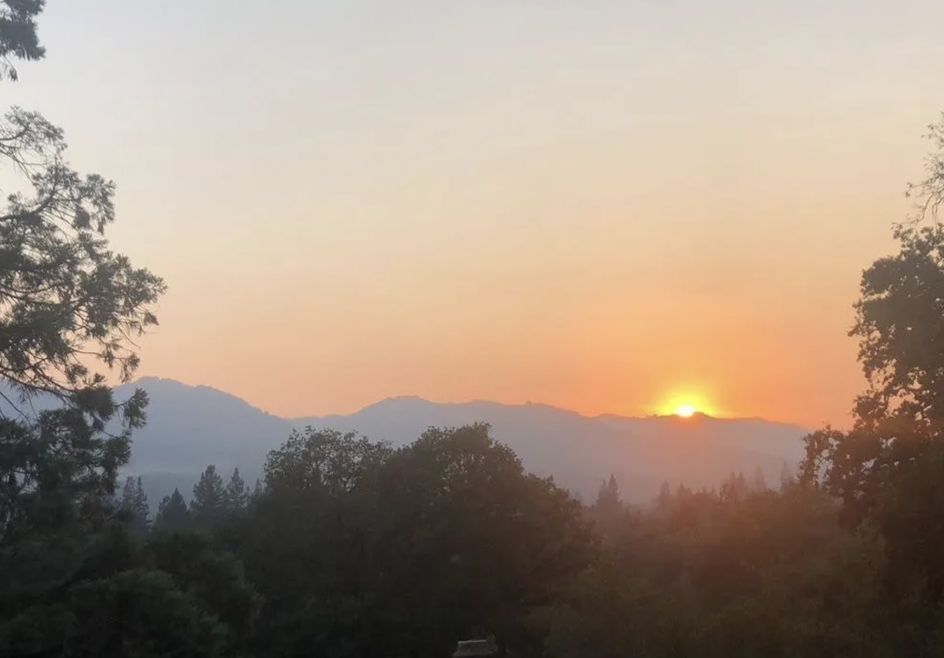 Sunset over mountains with trees in the foreground