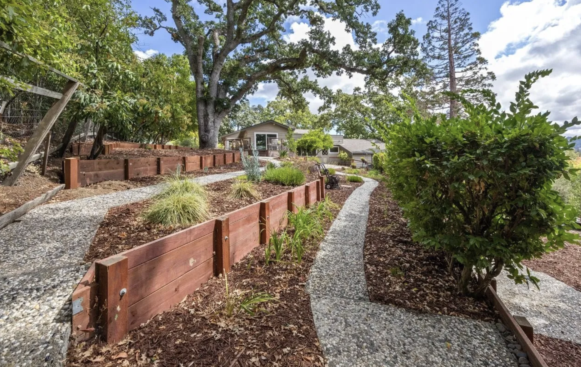 Side yard with winding gravel pathways, wooden retaining walls, lush plants, trees, and a house in the background under partly cloudy sky.