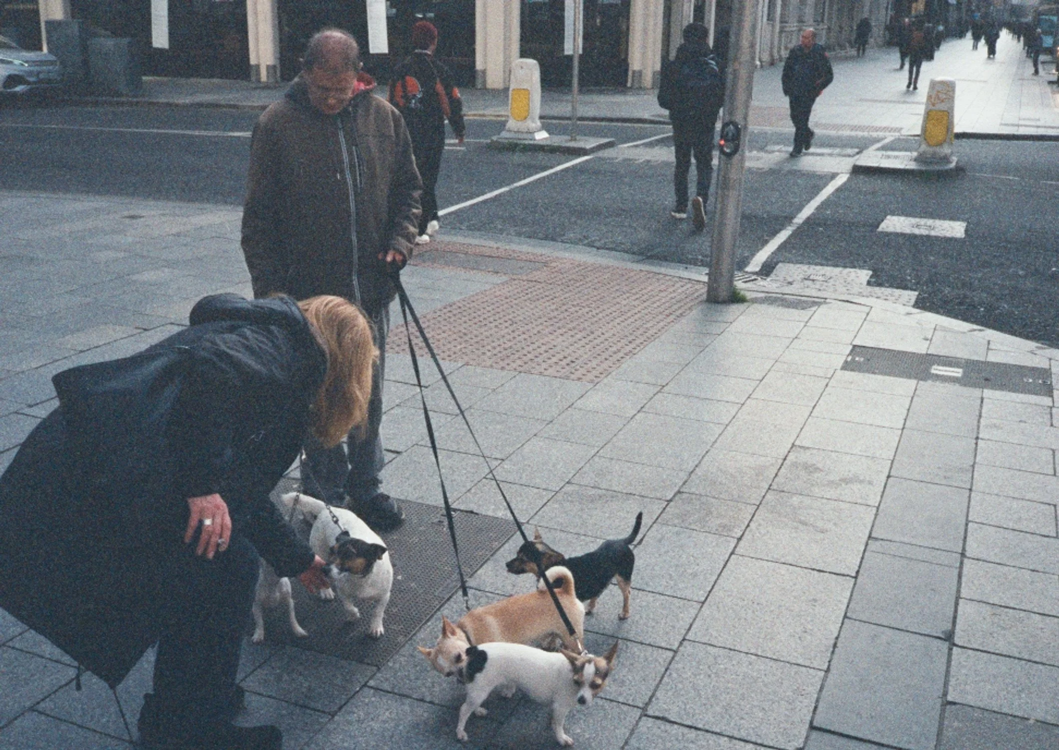 IMG_8776.jpeg
