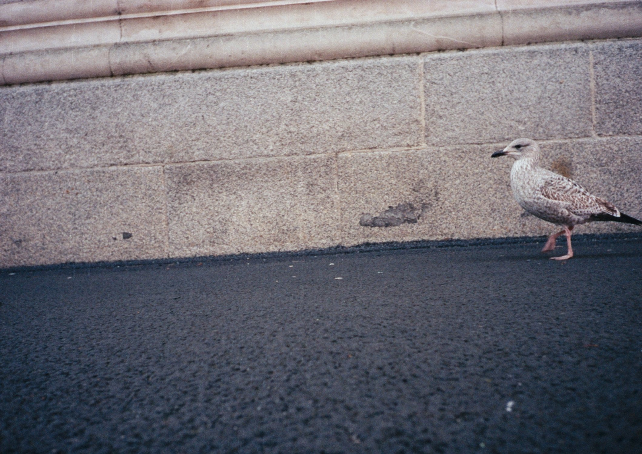 IMG_8771.jpeg