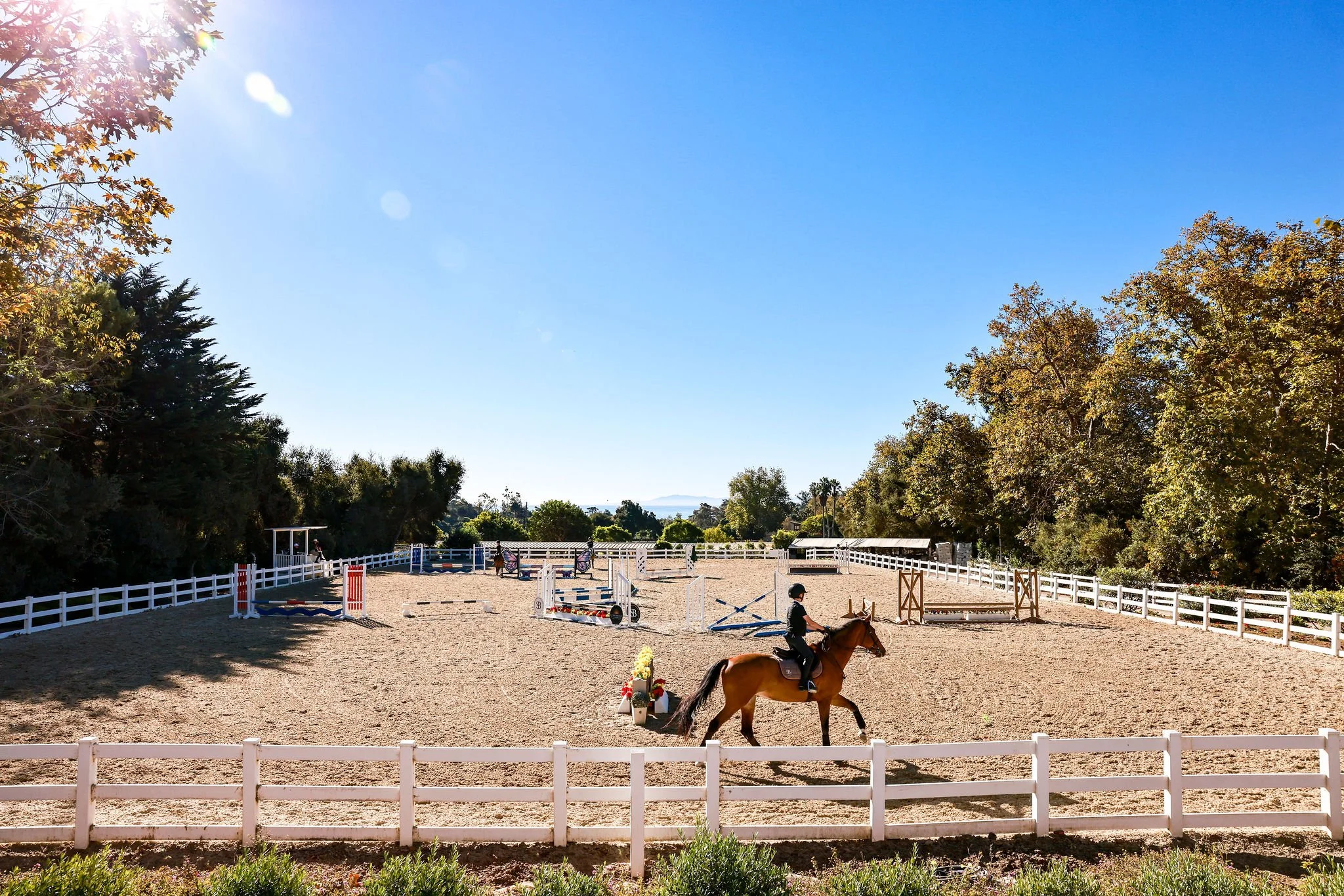 Sunnybrook Living Horses at the Event Venue