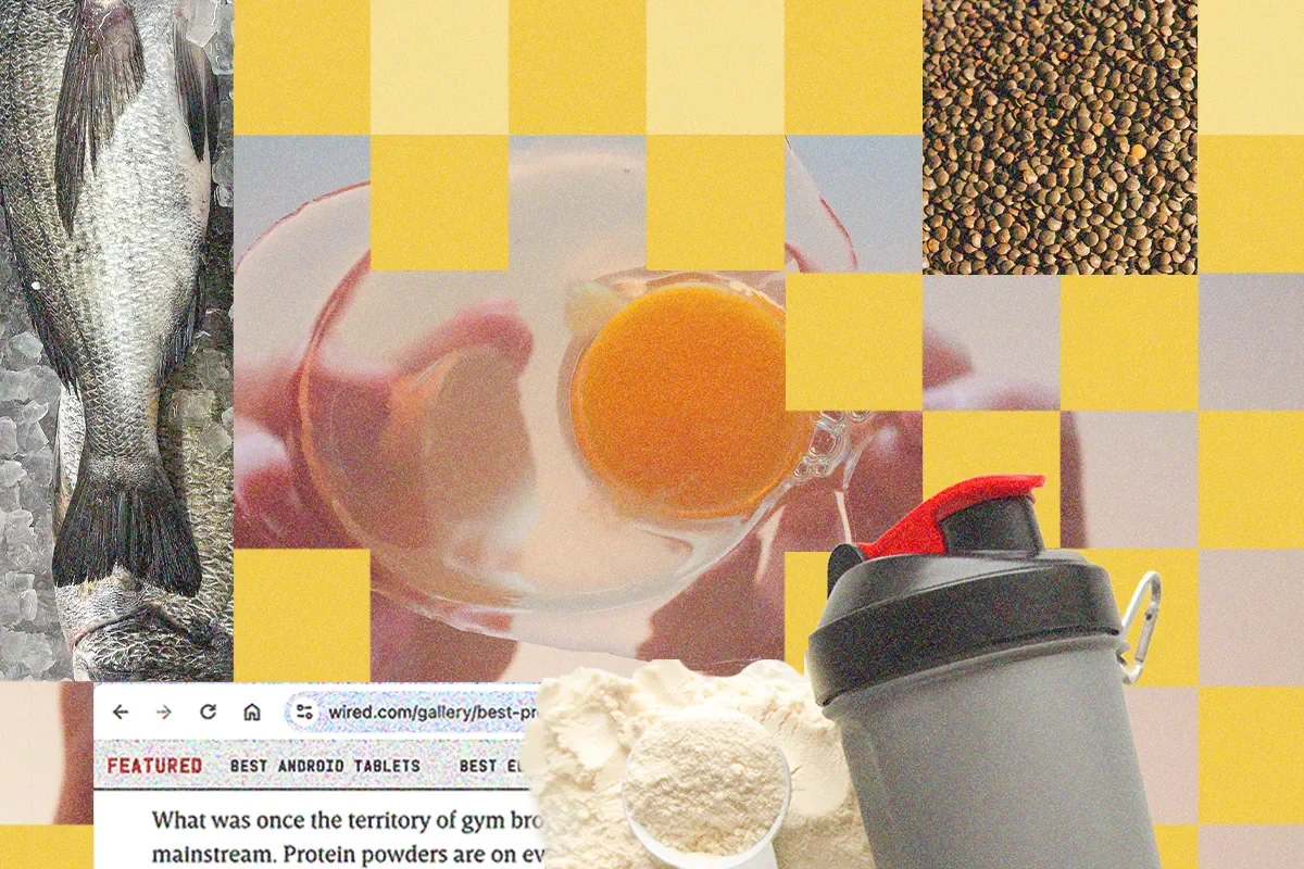 WIRED: How Much Protein Do I Need?