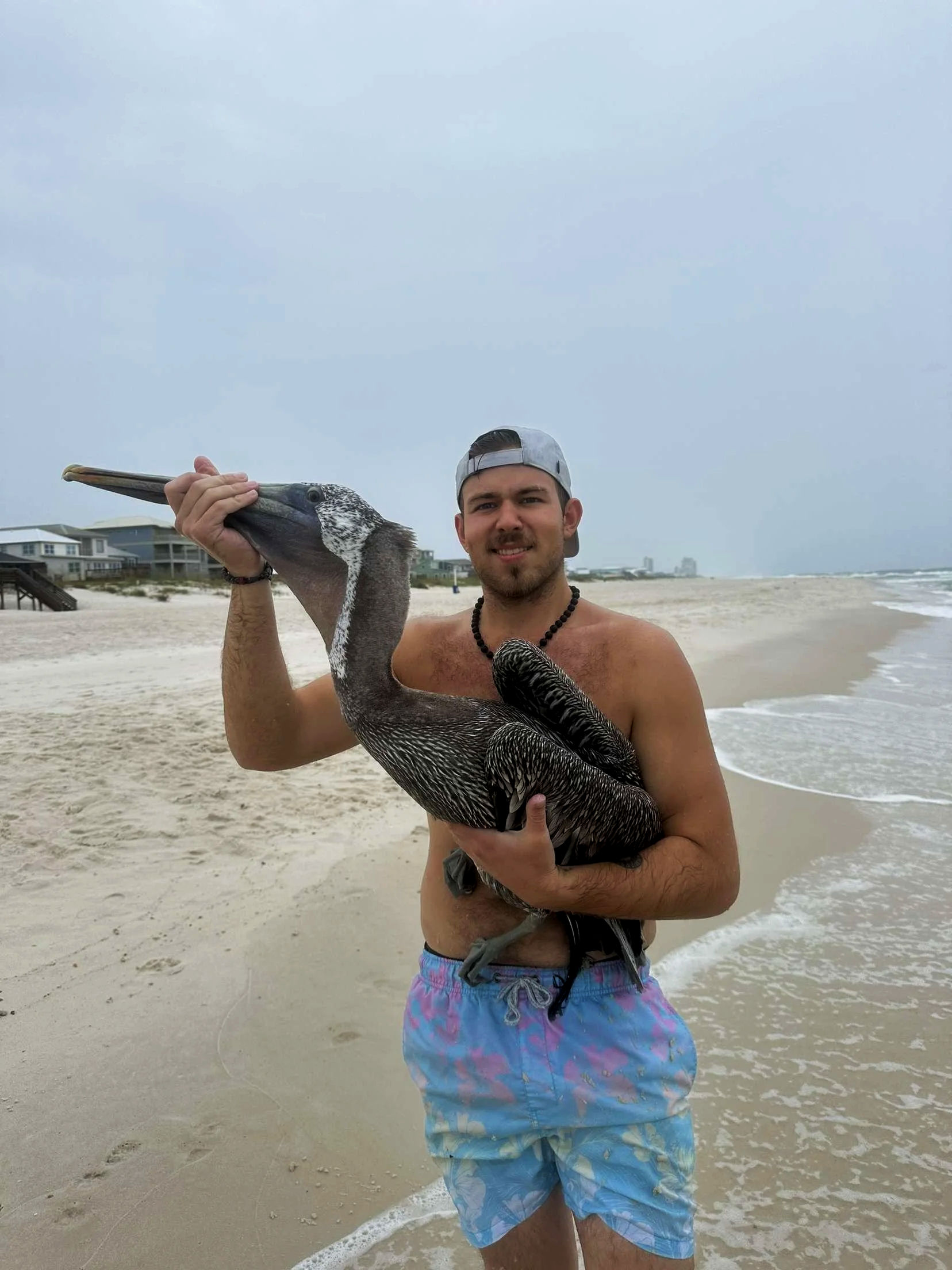 A man holding a large pelican on a beach with sand, ocean waves, and houses in the background.
