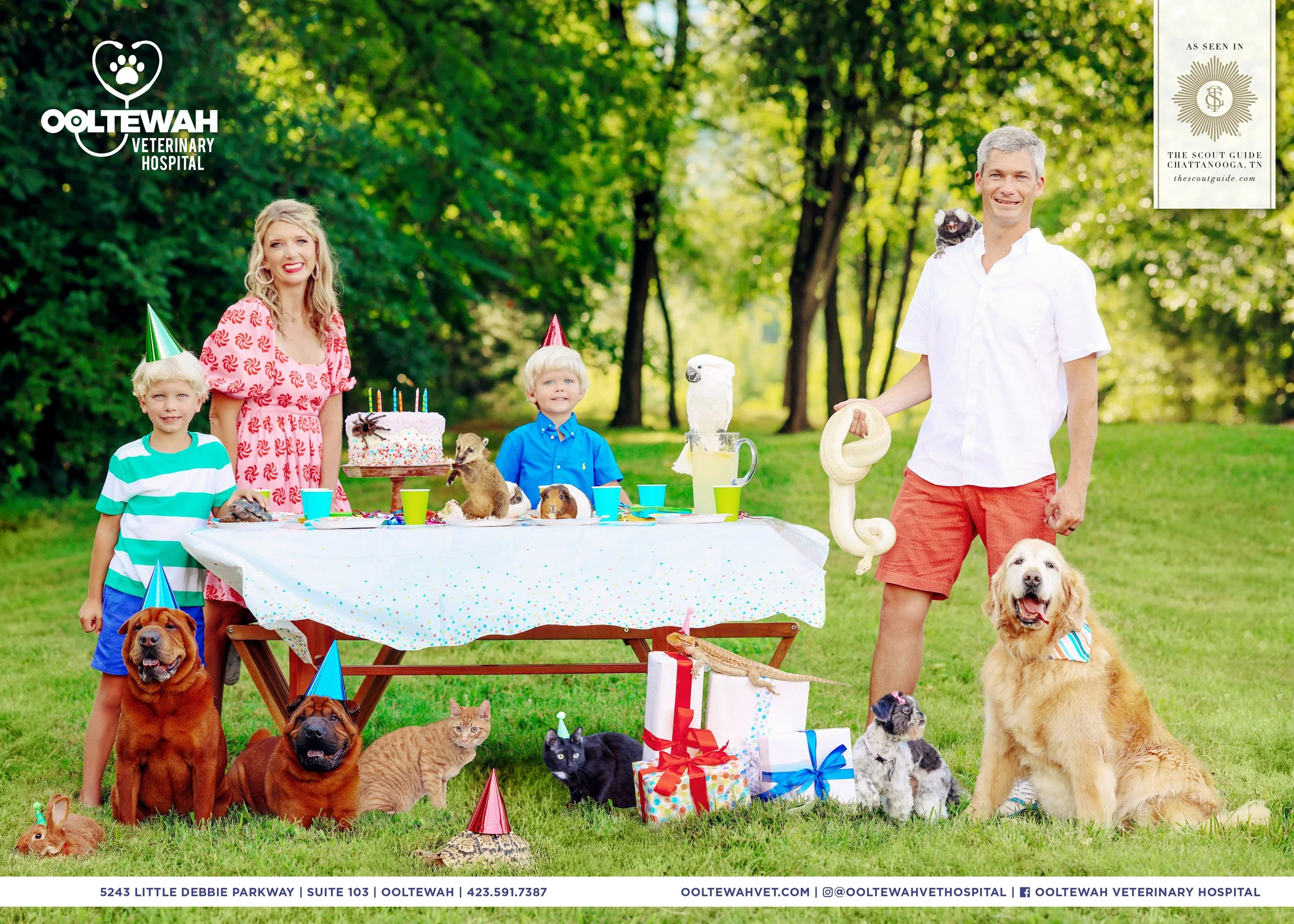 OoltewahVeterinaryHospital_ChattanoogaV10_AsSeenIn.jpg