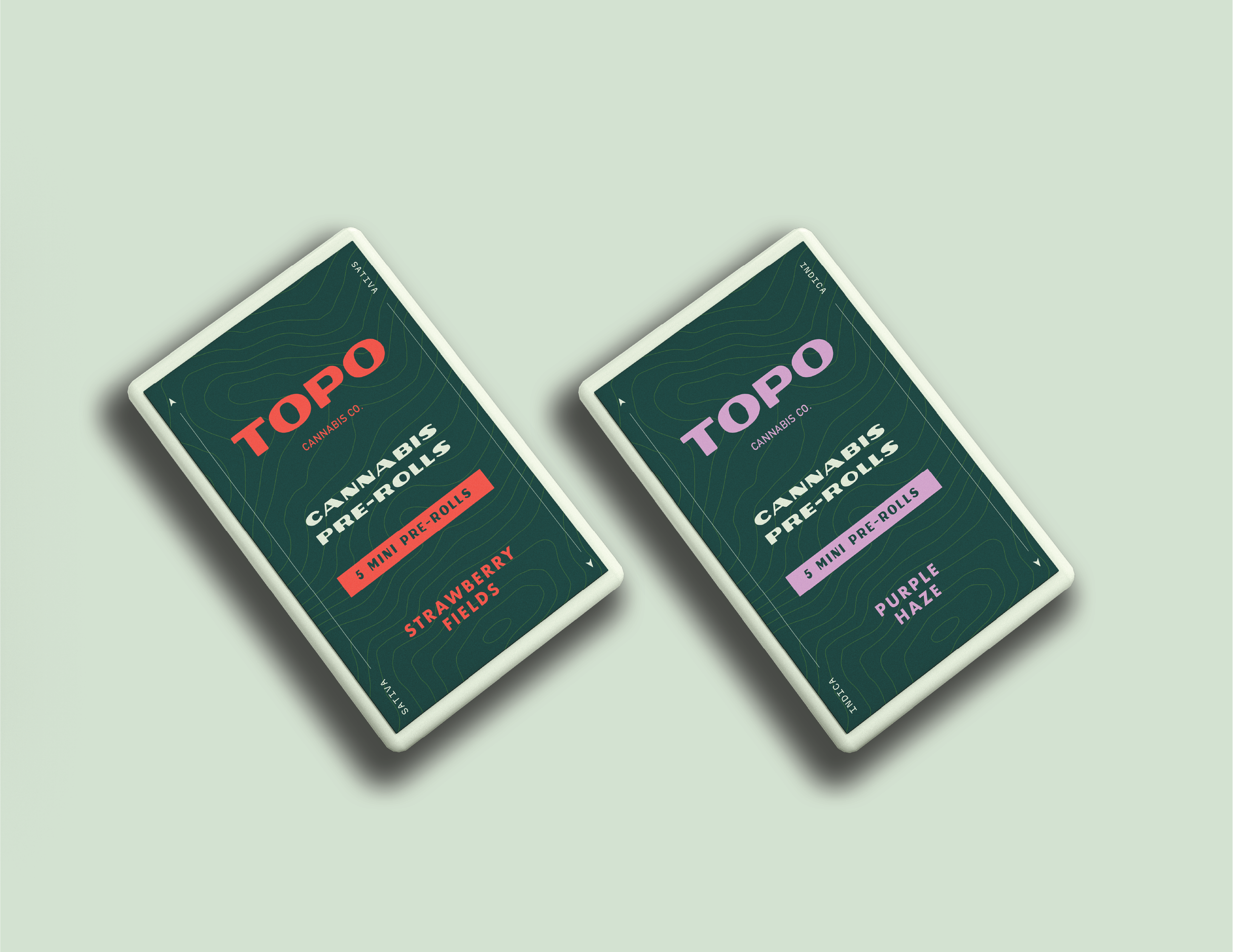 Topo_-03.png
