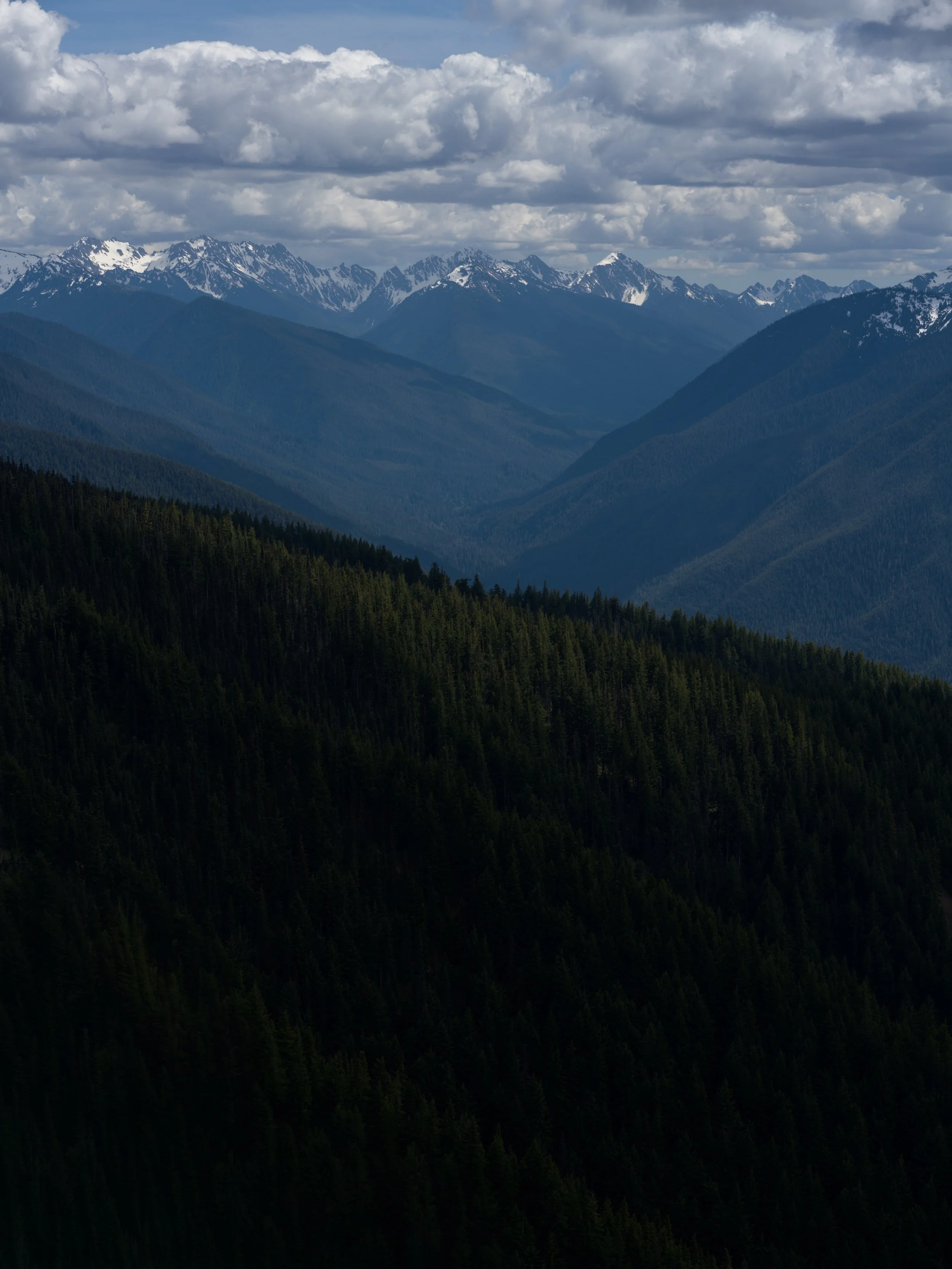 Our Land - American West 

#hasselblad