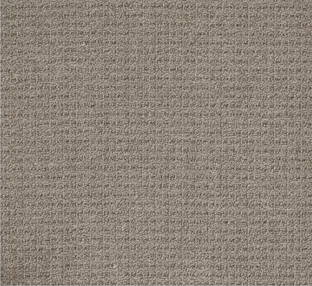 Close-up image of beige textured carpet.