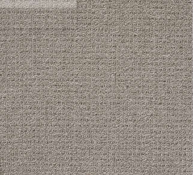Close-up of a textured beige carpet.