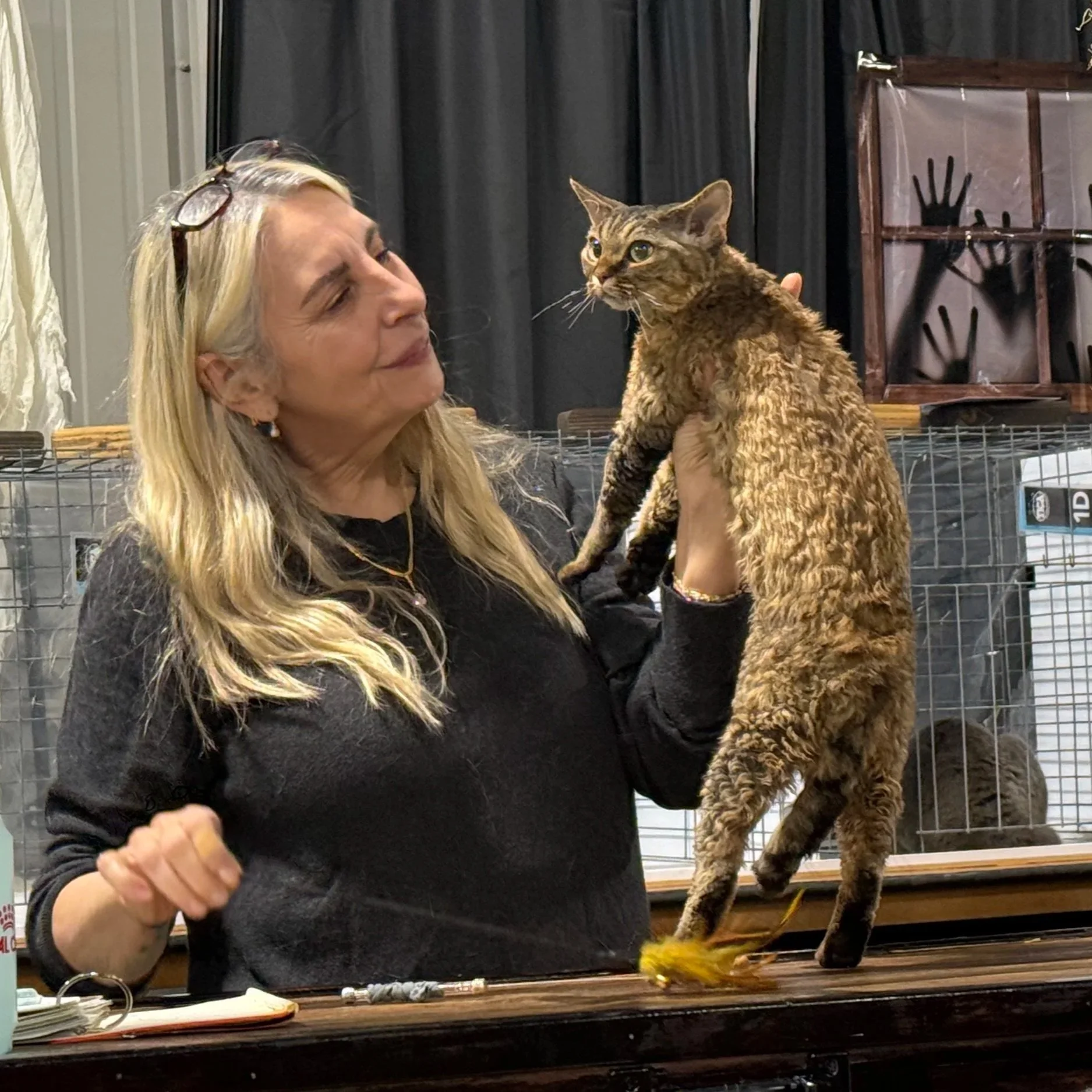 A woman with long blonde hair and glasses on her head is holding a curly-haired tabby cat while looking at it. There are cages and a black curtain in the background.
