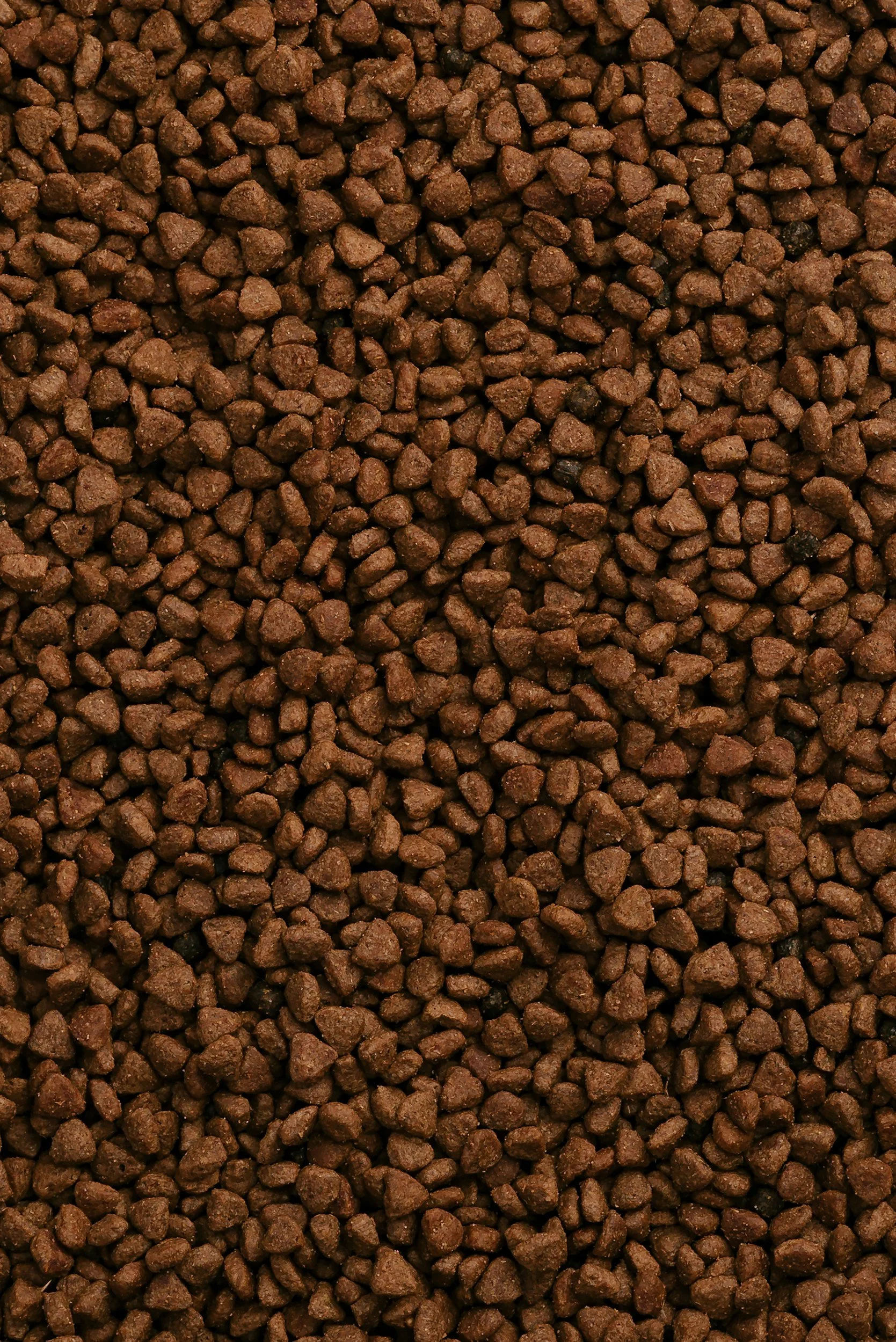 Close-up of small, irregularly shaped brown dry dog food pellets.