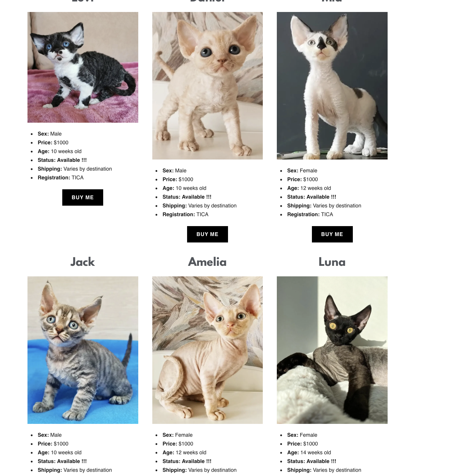 Photos of six kittens with their names and details. The top row has three kittens named Levi, Hunter, and Mo. The bottom row has three kittens named Jack, Amelia, and Luna. Each kitten has details including sex, price, age, status, shipping, and registration.