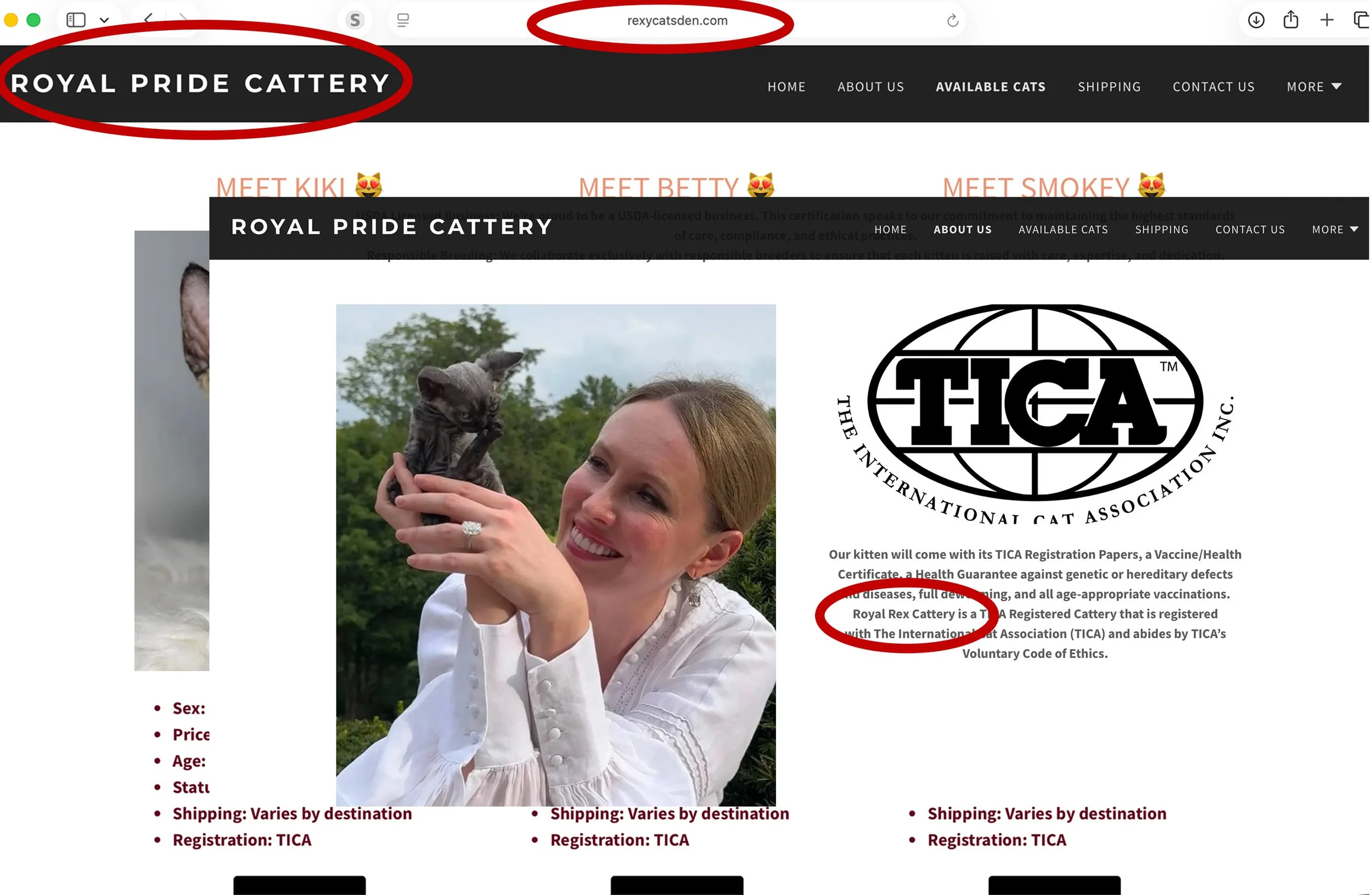 Screenshot of a website for Royal Pride Cattery, featuring a woman holding a kitten, with the logo of The International Cat Association (TICA) on the right side of the page.