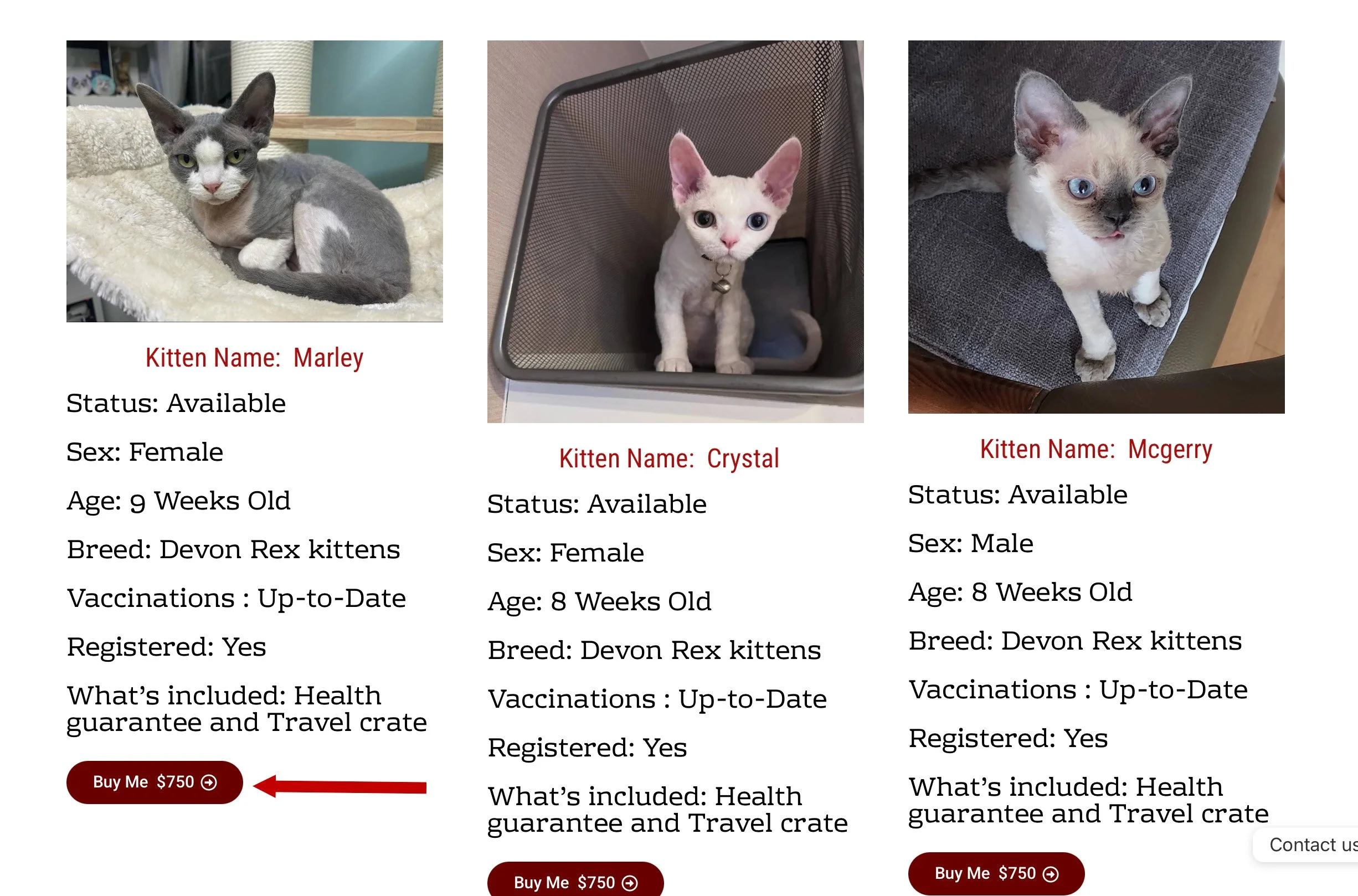 Online listing of three kittens with photos and details. The first kitten named Marley is a 9-week-old female Devon Rex kitten, available for $750. The second kitten named Crystal is an 8-week-old female Devon Rex kitten, also available for $750. The third kitten named McGerry is an 8-week-old male Devon Rex kitten, available for $750. Each listing includes health guarantee and travel crate details, with a red "Buy Me" button.