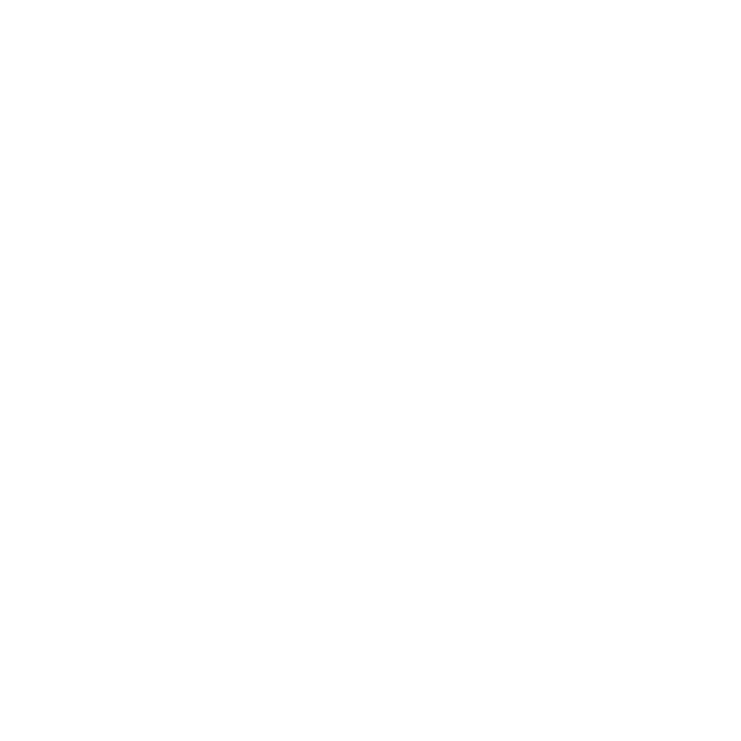Outline icon of a crossed pair of baby stroller wheels with a paw print above, representing pet or animal-related transportation.