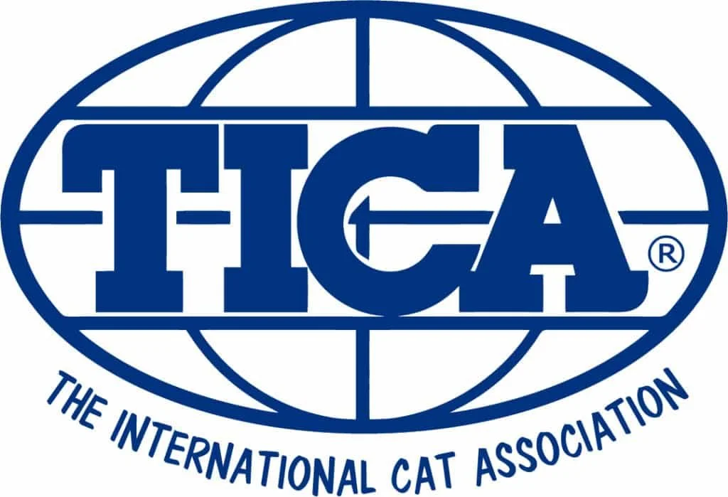 Logo of The International Cat Association (TICA), featuring a globe design with the acronym TICA in bold blue letters and the full name written below.