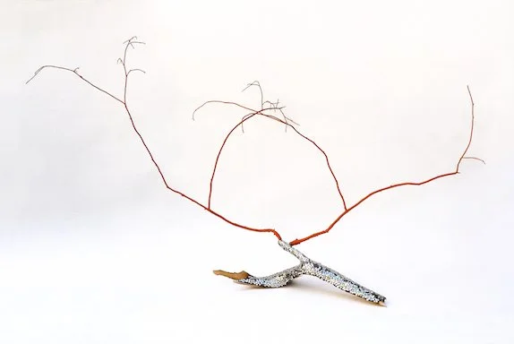Sandy Branches