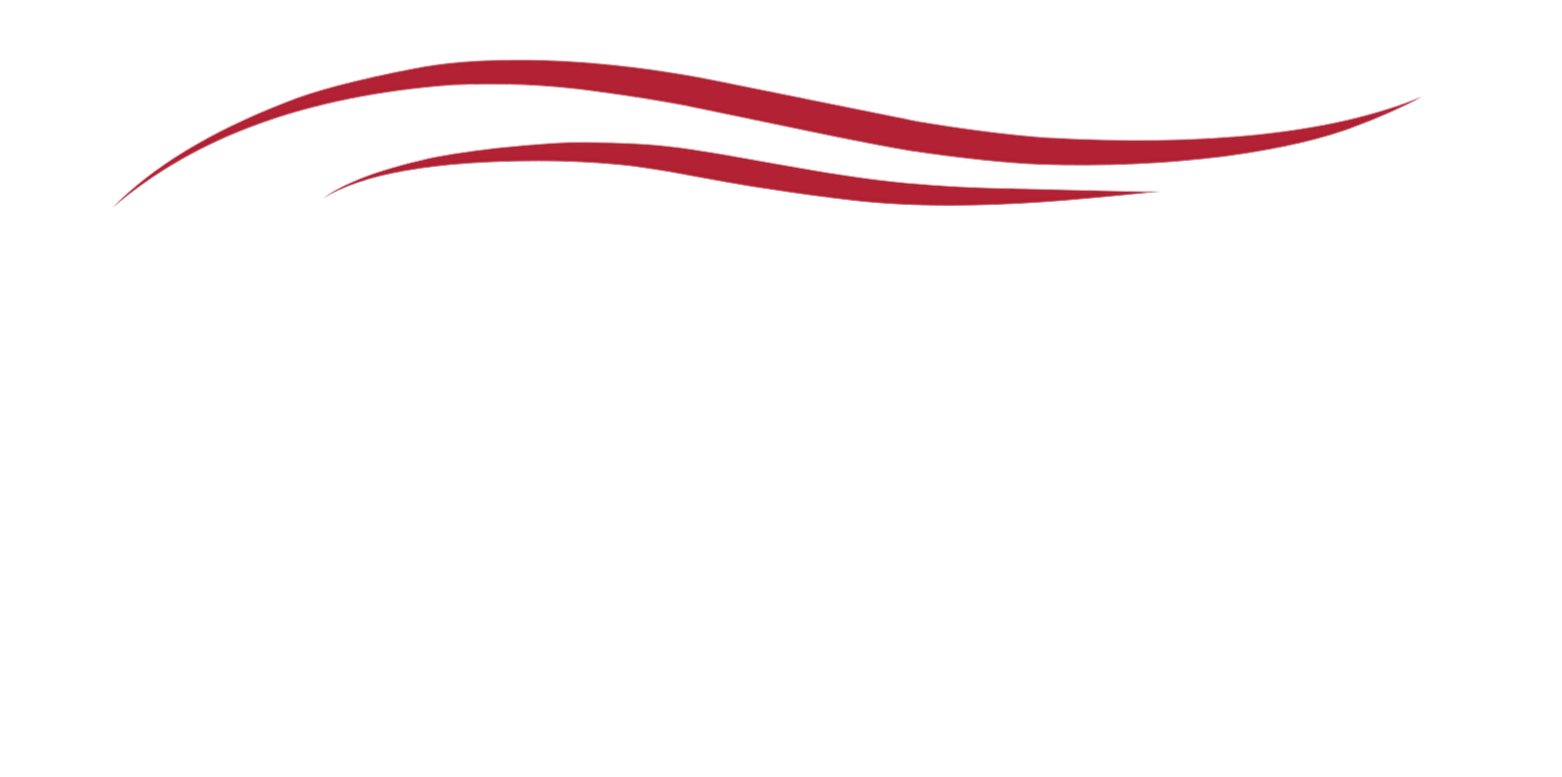 Black silhouette of a stylized cruising ship with three red waves above it.