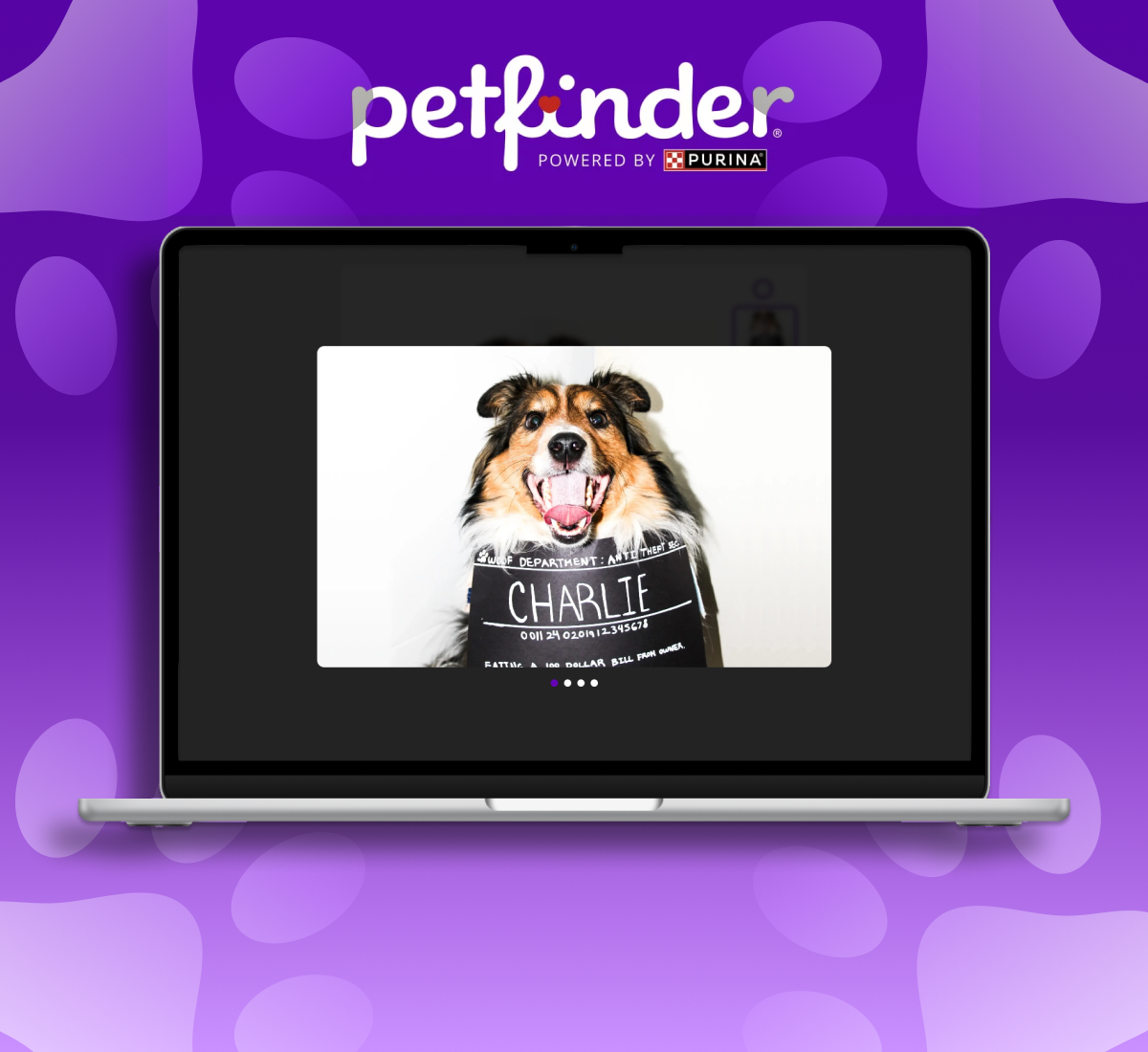 Petfinder Micro-interactions