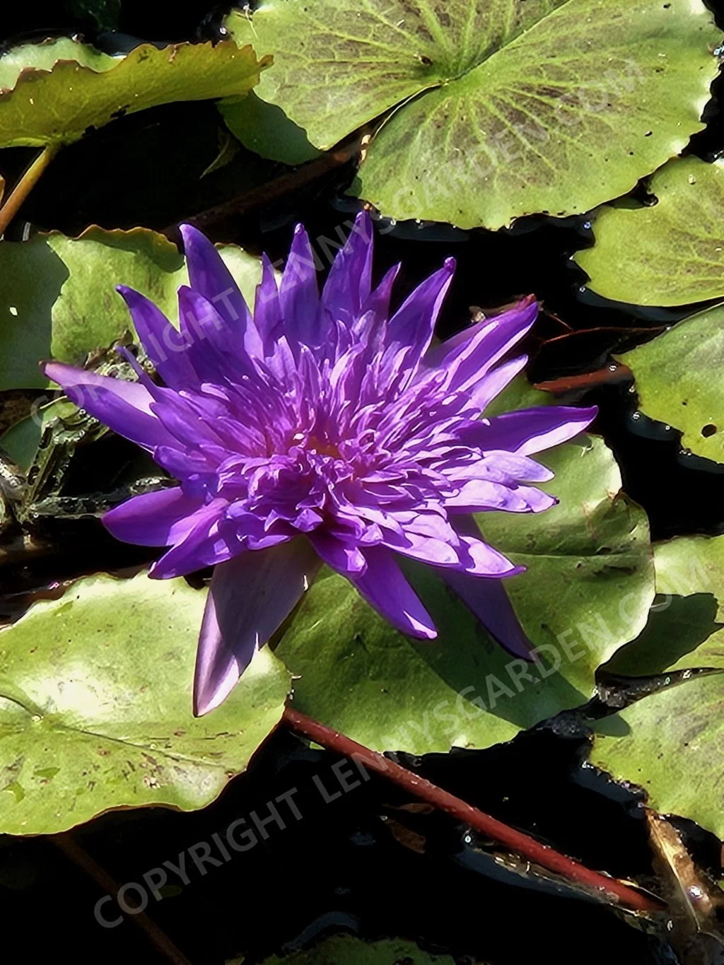 20230910_133311 (2).jpg