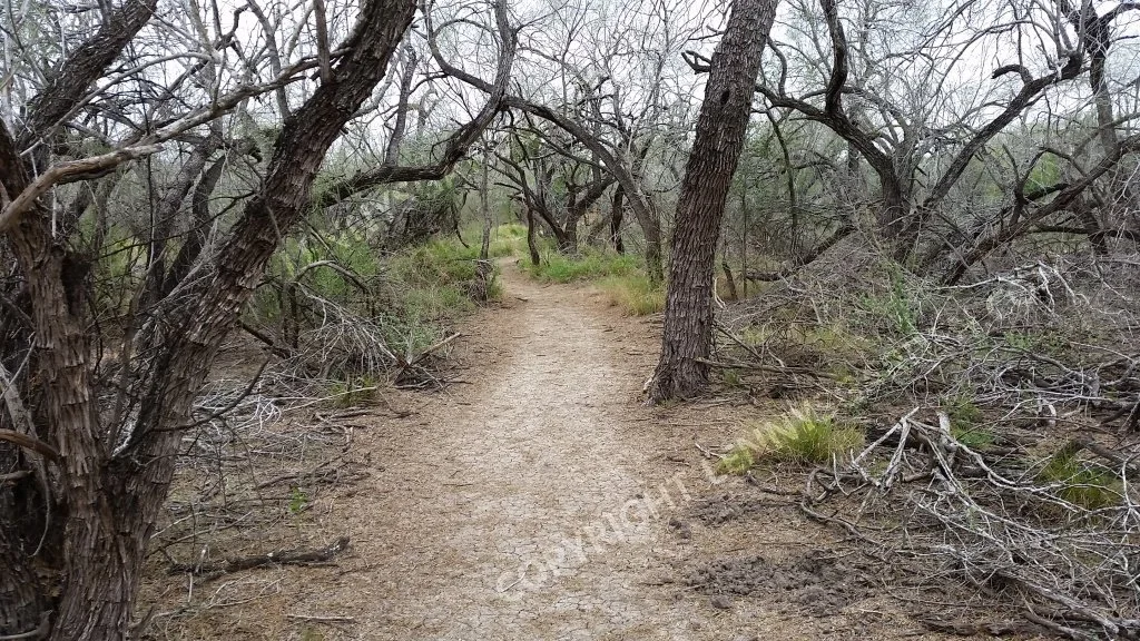 20150217_131425 (1).jpg