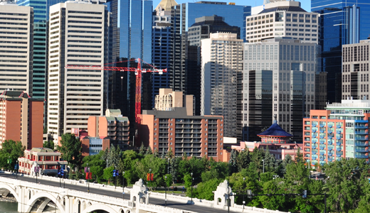 City skyline in Southern Alberta with buildings, a bridge, and trees in the foreground