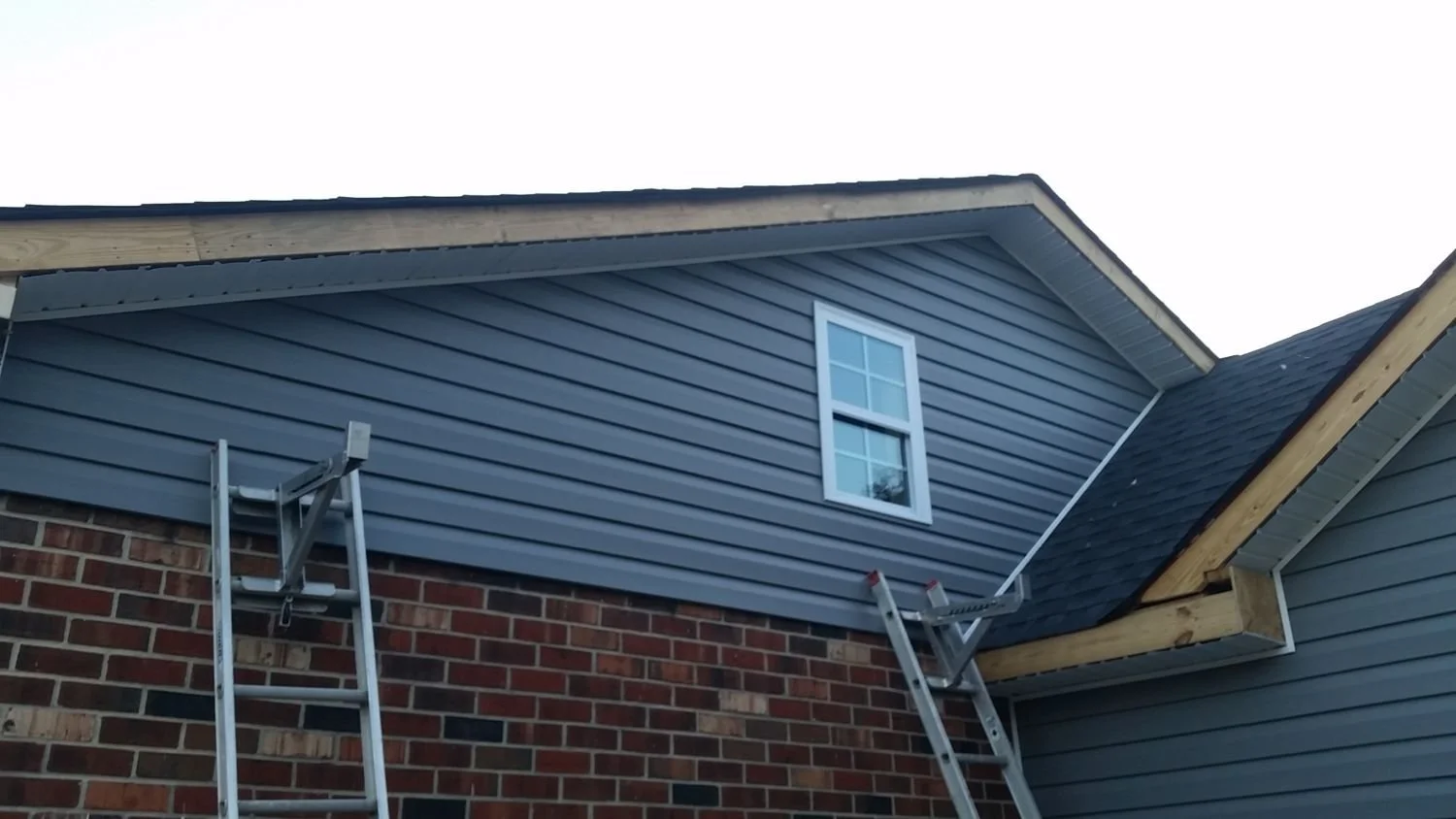 Firs Restoration 4.jpg