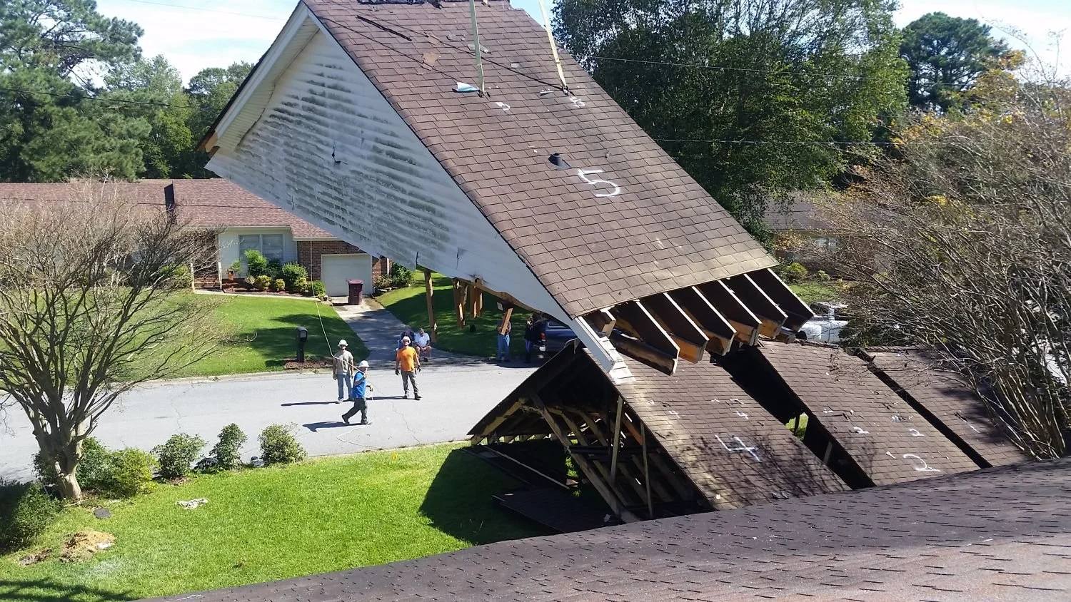 Firs Restoration 2.jpg