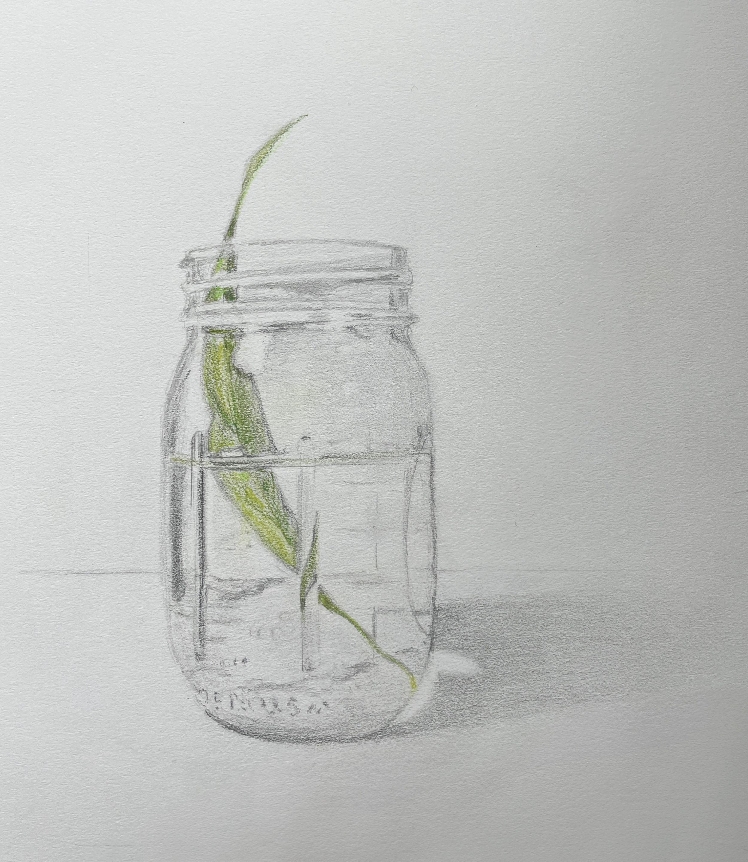 water_bell jar.png