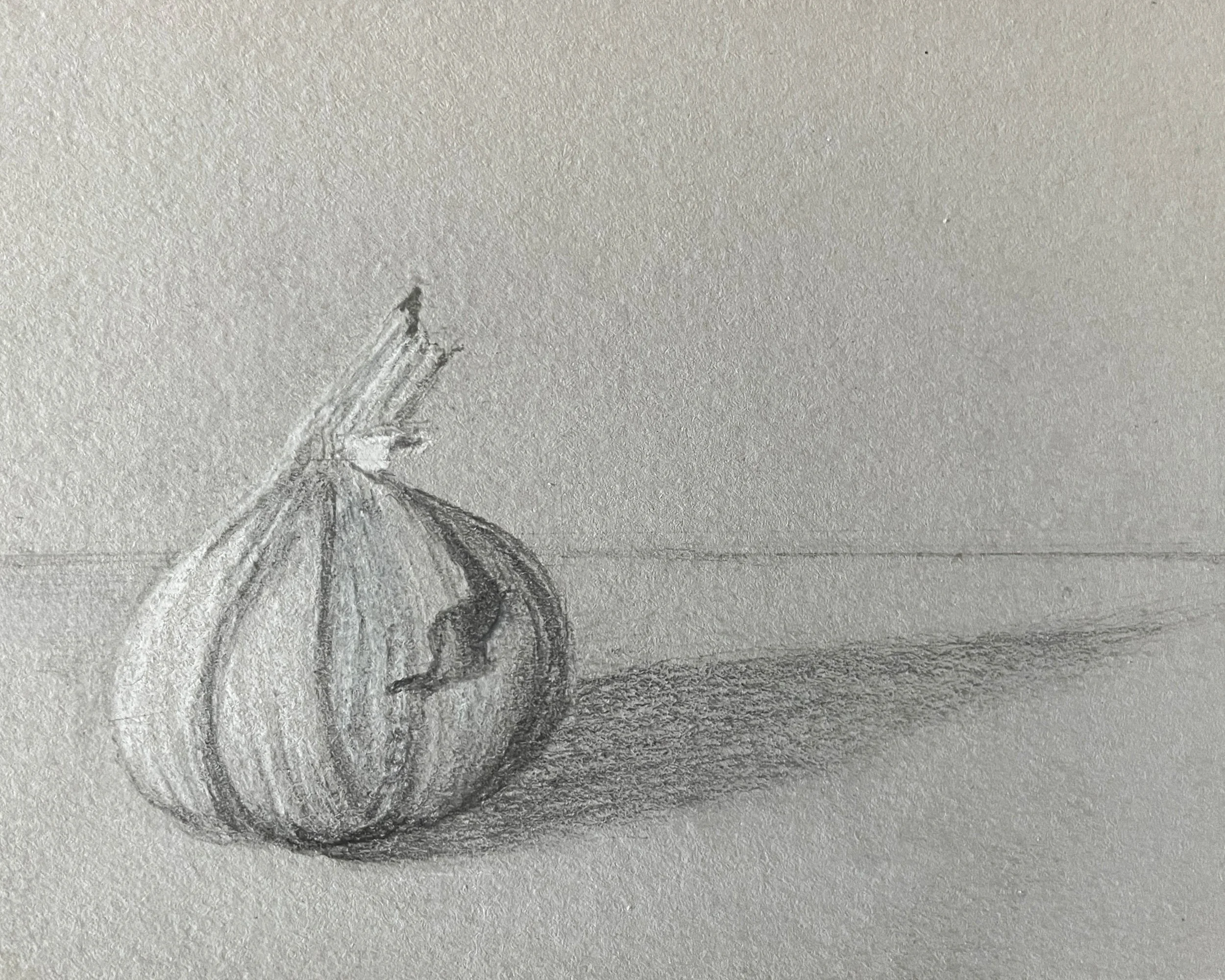 Bates_Drawing GarlicFM.jpg