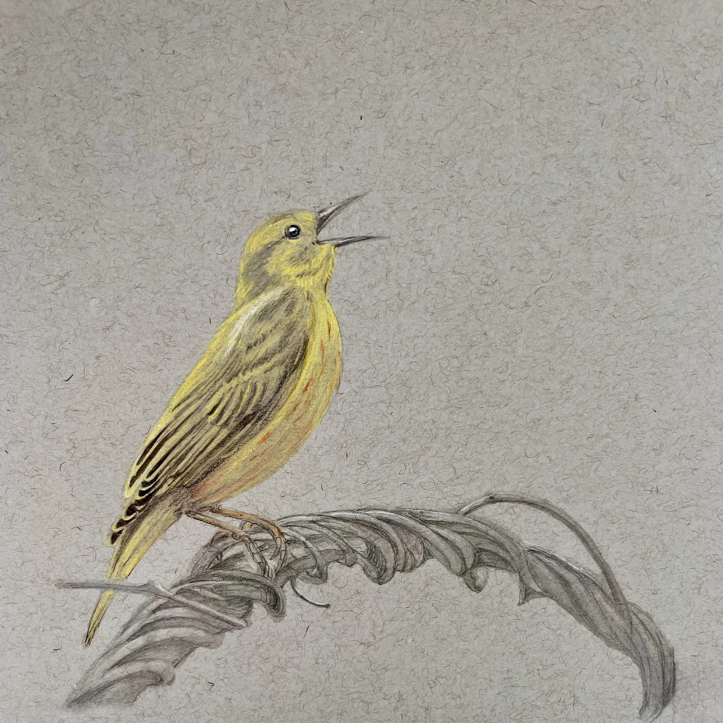 Final CompositionMAIN.jpg