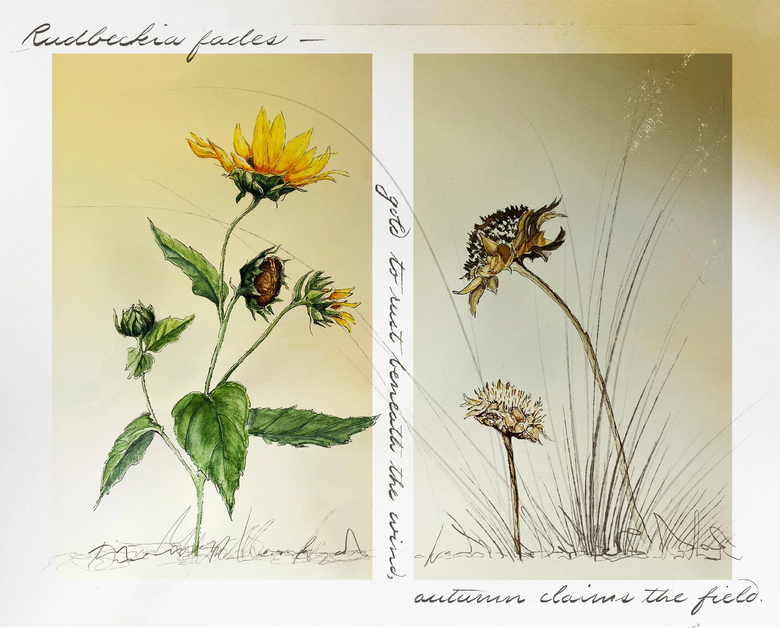 Watercolor & Digital