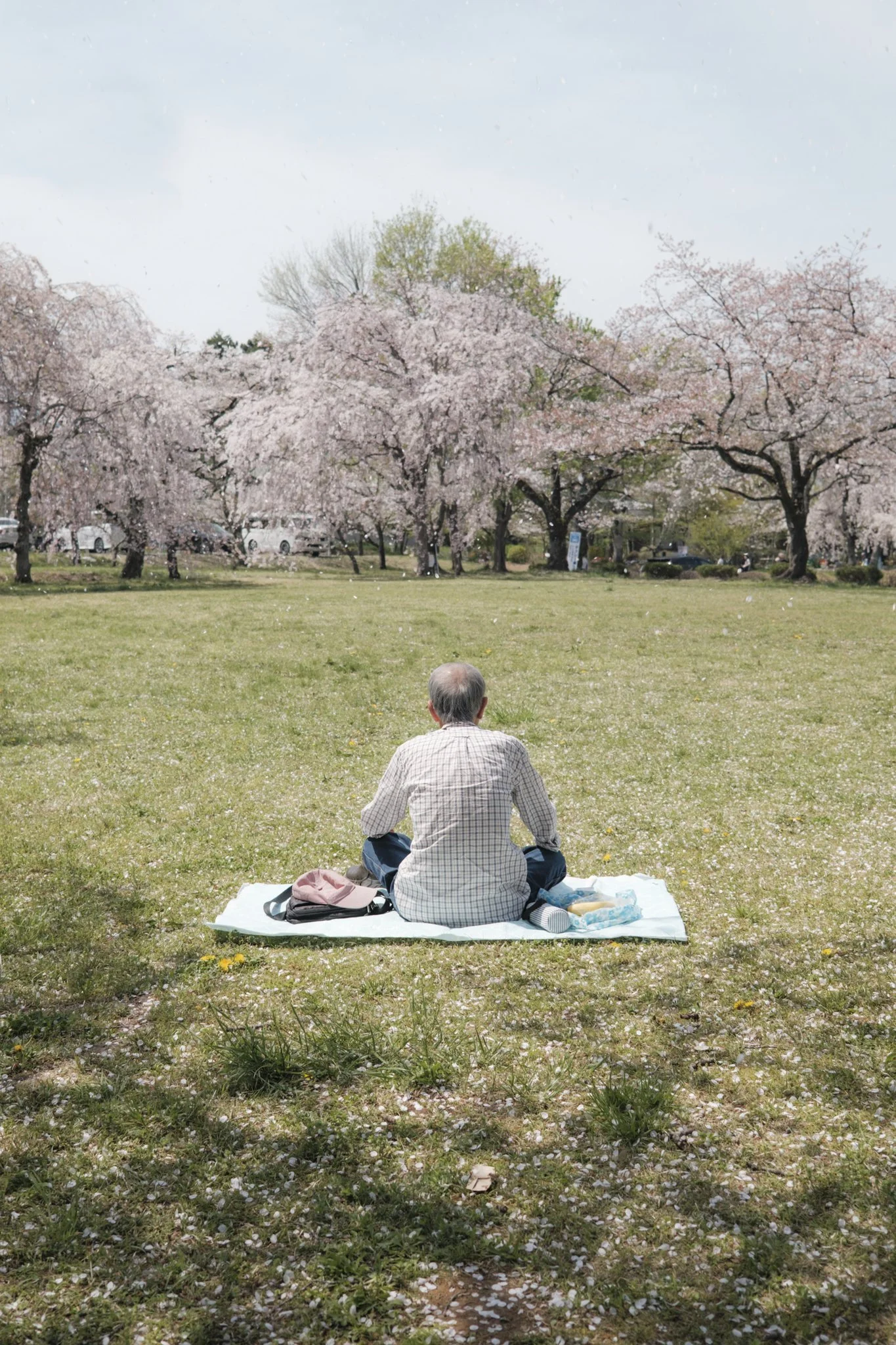 Japan_Mark Hanna_Web-10.jpg