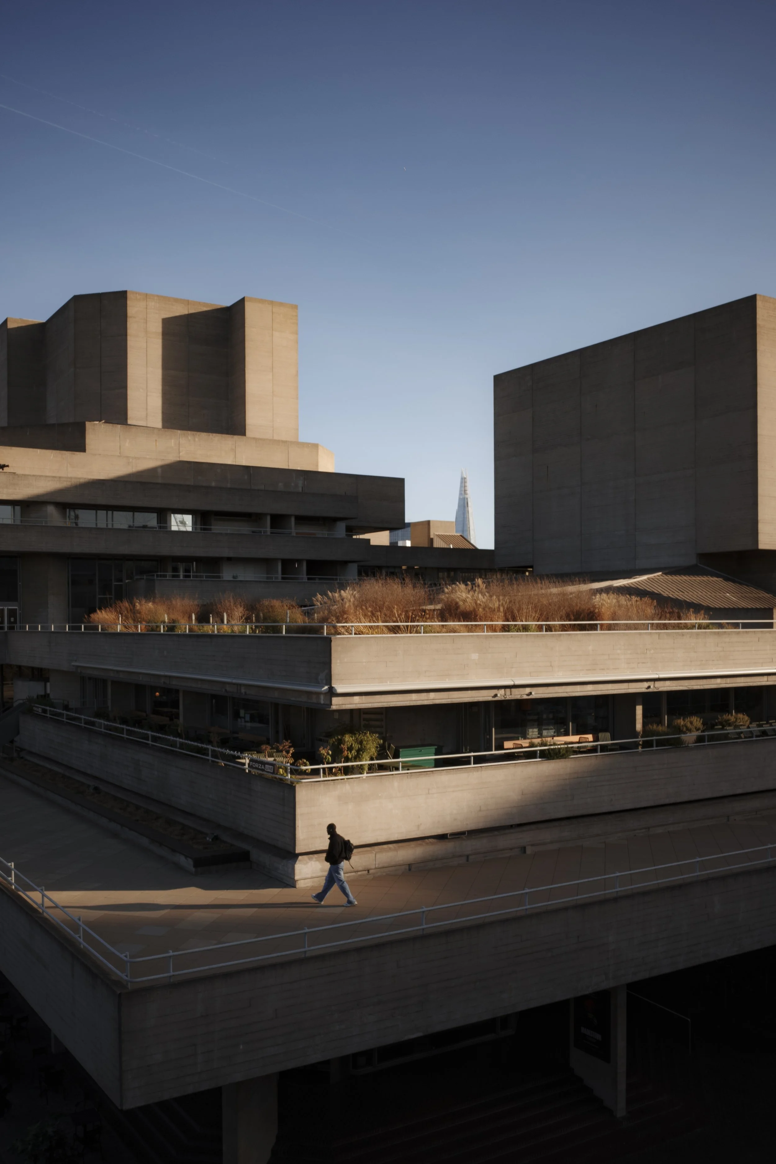 Ricoh Positive/Warm LR Preset (po.ntandshoot)