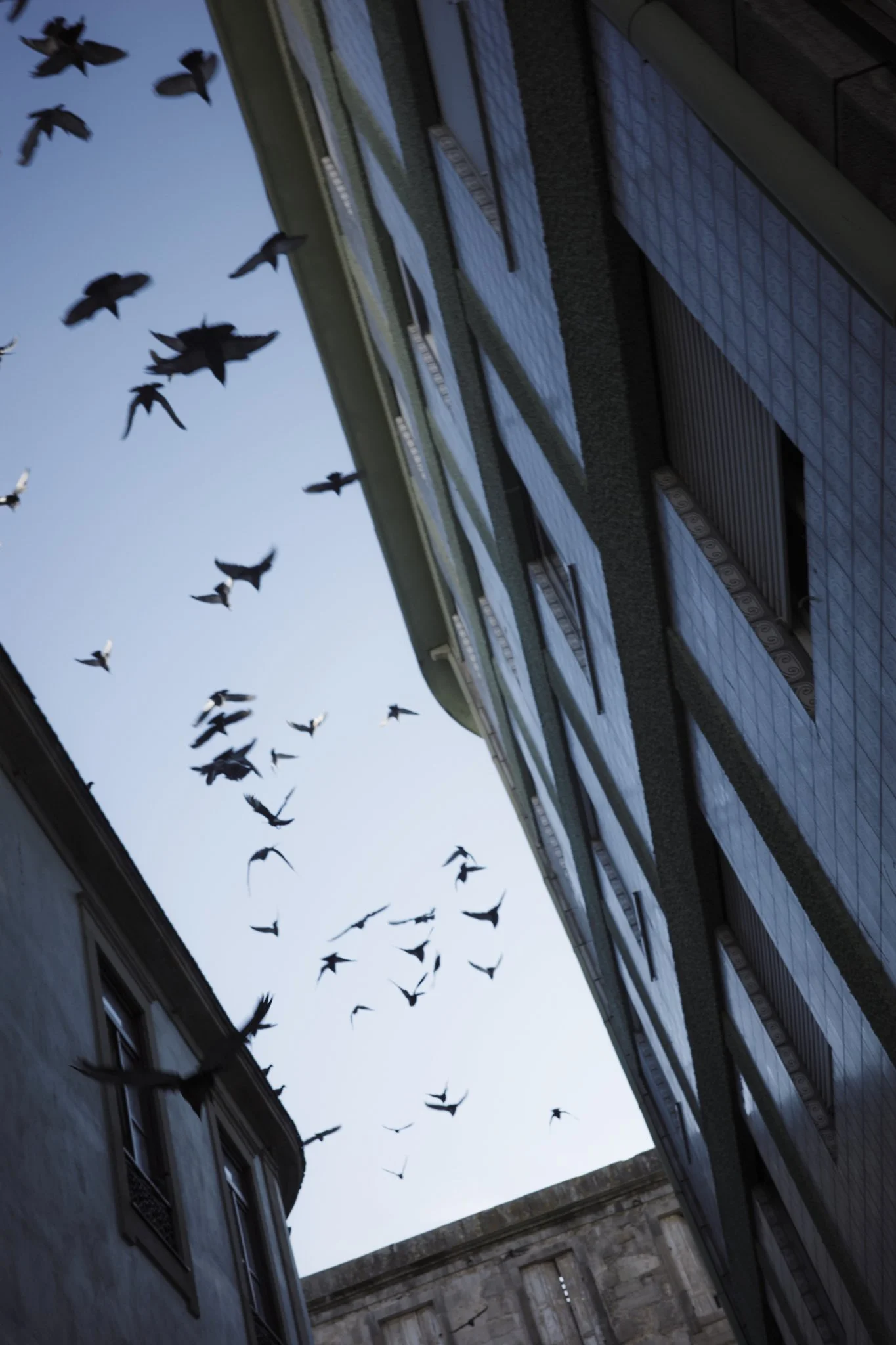 Portugal_Mark Hanna_Web-5.jpg