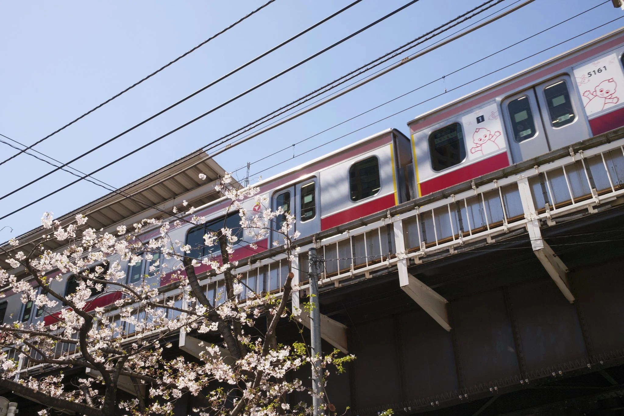 Japan_Mark Hanna_Web-5.jpg