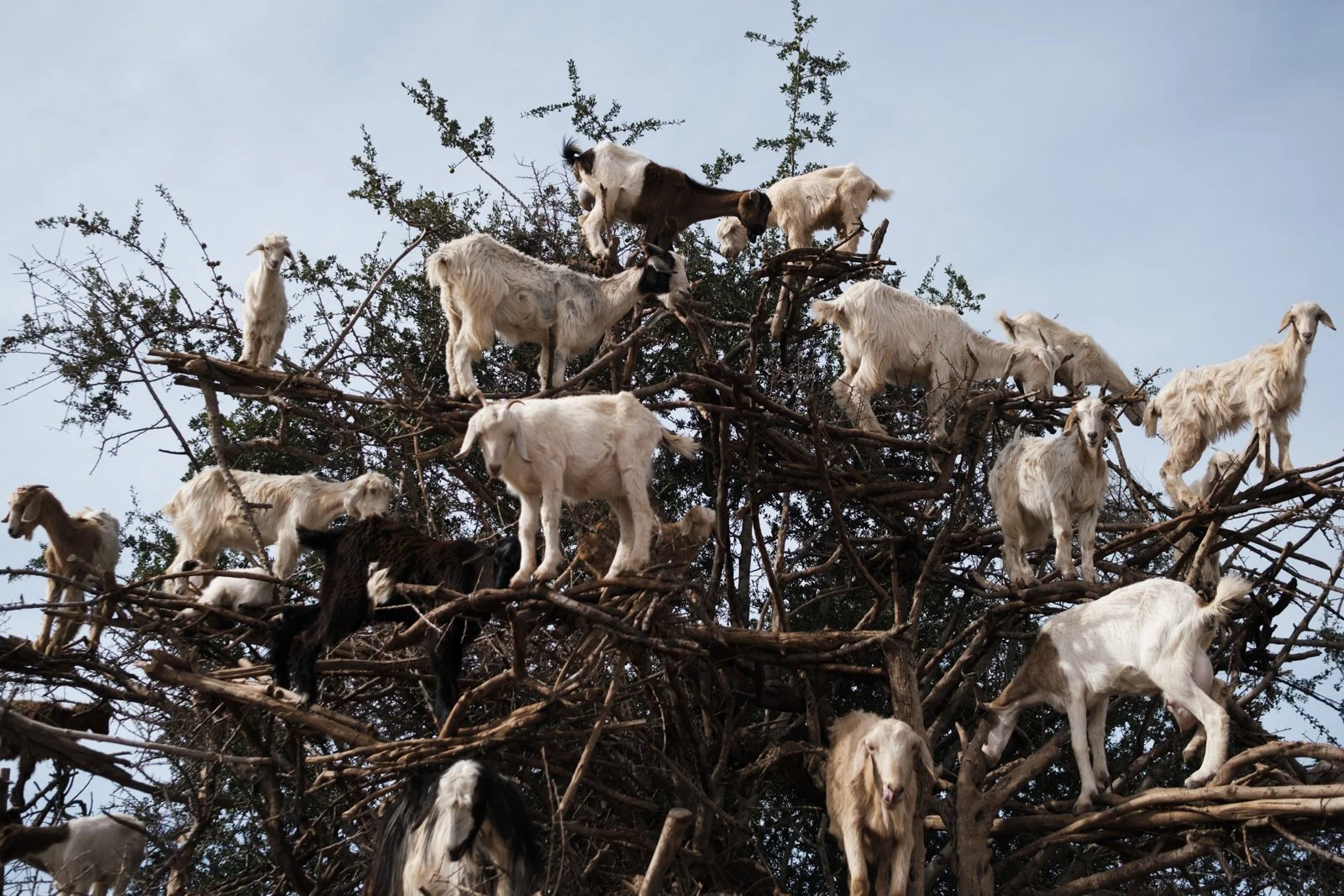 Morocco_Mark Hanna_Web-6.jpg