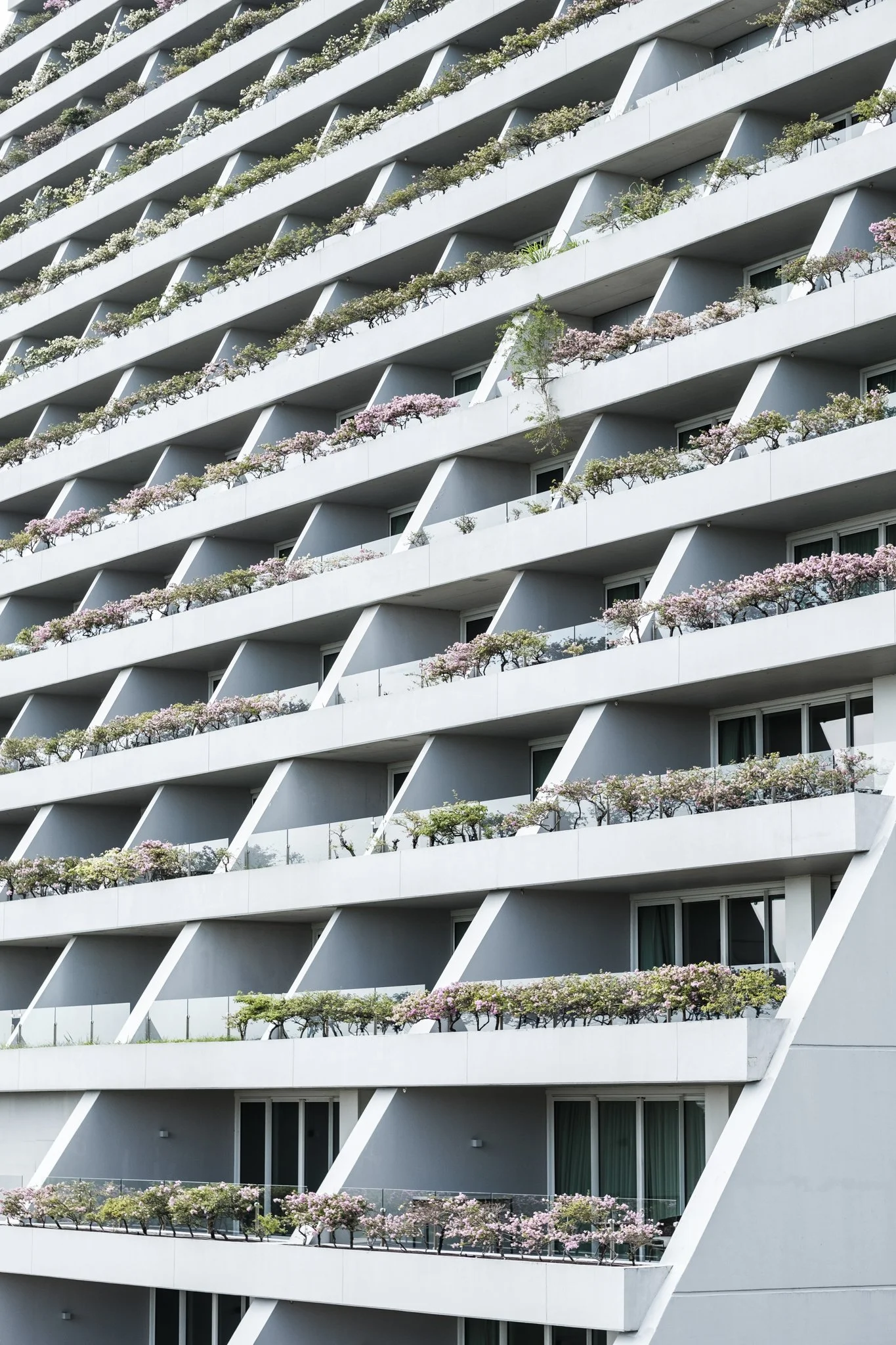 Asia_Mark Hanna_Web-7.jpg