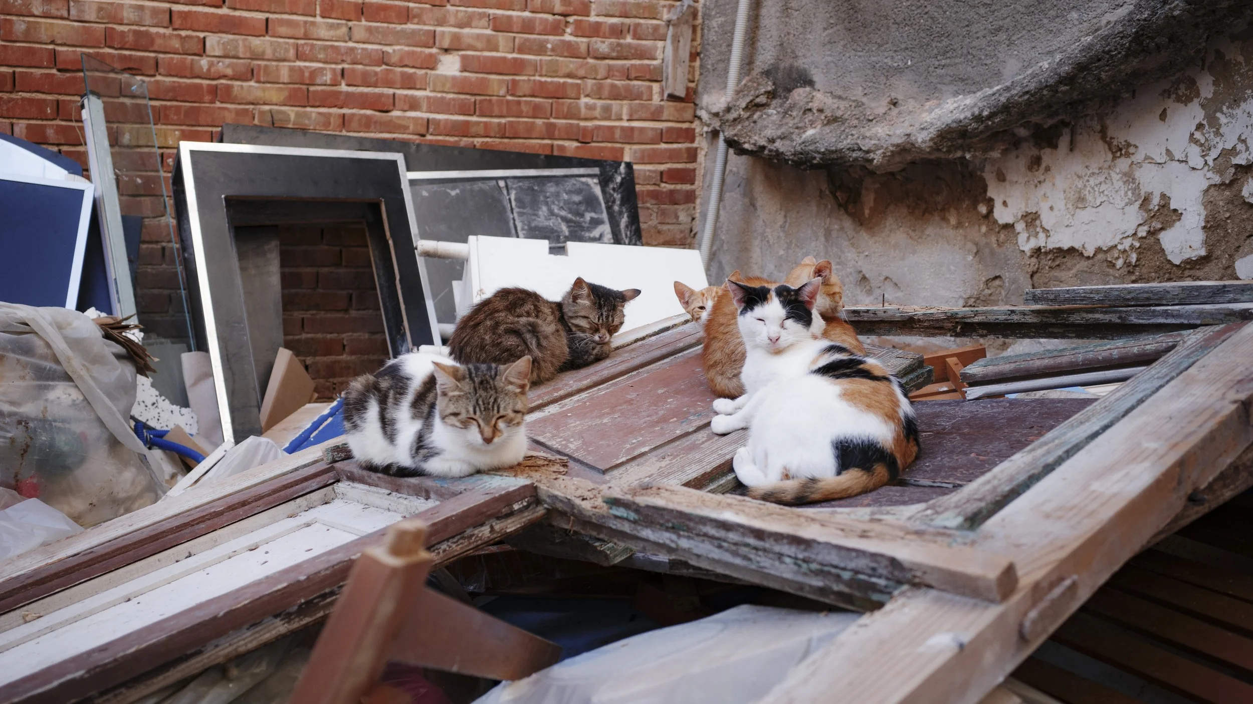 11. Ortigia Shootout (GR IV)-23.jpg