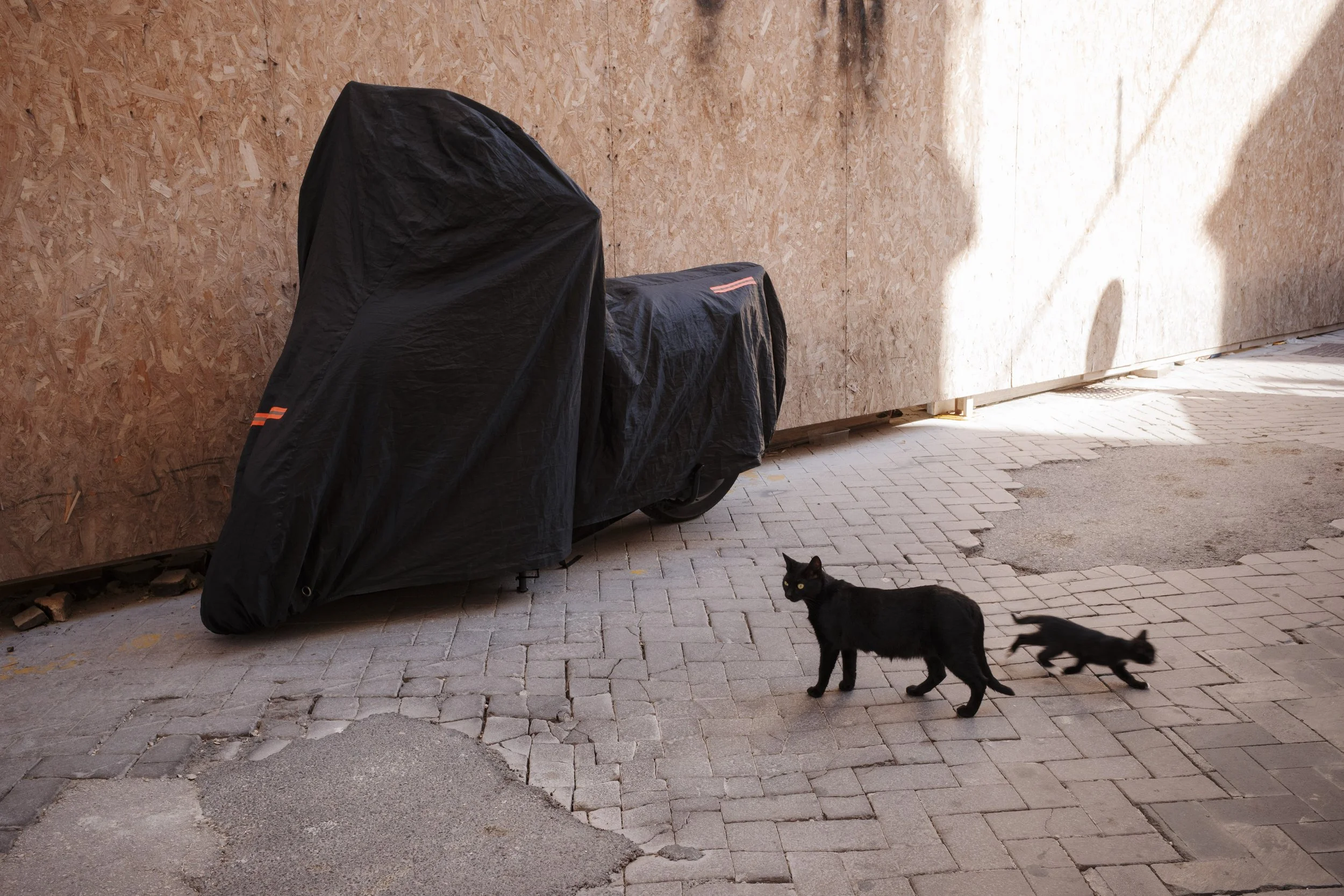 11. Ortigia Shootout (GR IV)-25.jpg