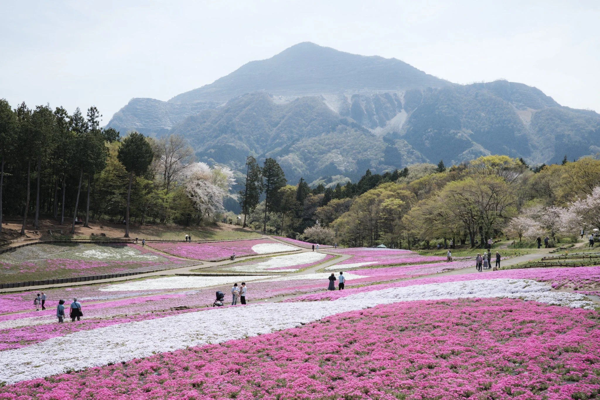 Japan_Mark Hanna_Web-11.jpg