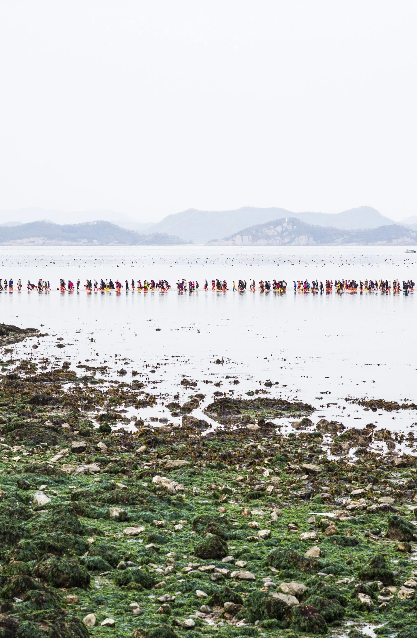 Korea_Mark Hanna_Web-1.jpg