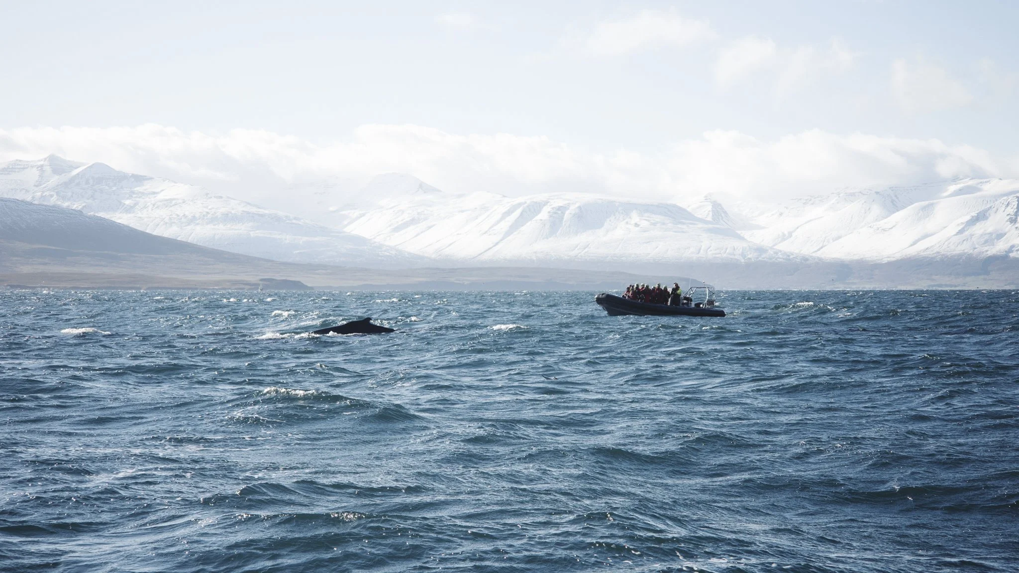 Iceland_Mark Hanna_Web-22.jpg