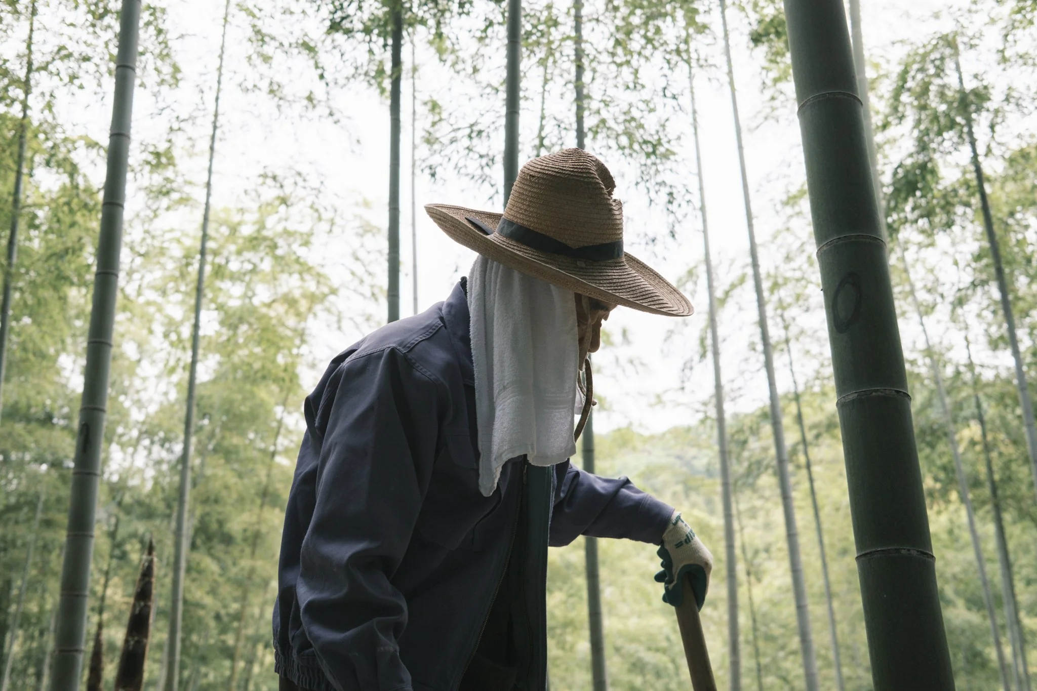 Japan_Mark Hanna_Web-23.jpg