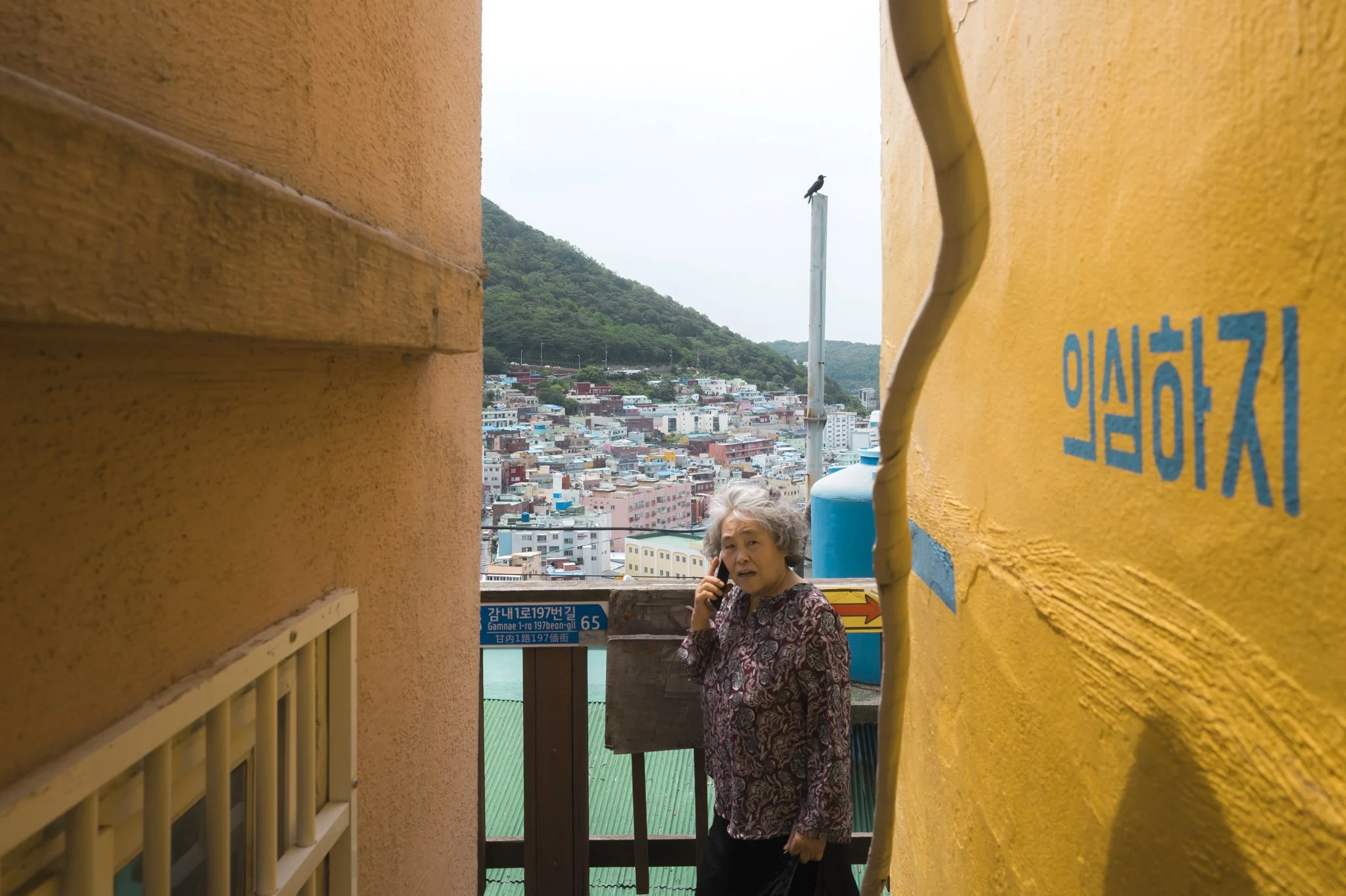 Korea_Mark Hanna_Web-28.jpg