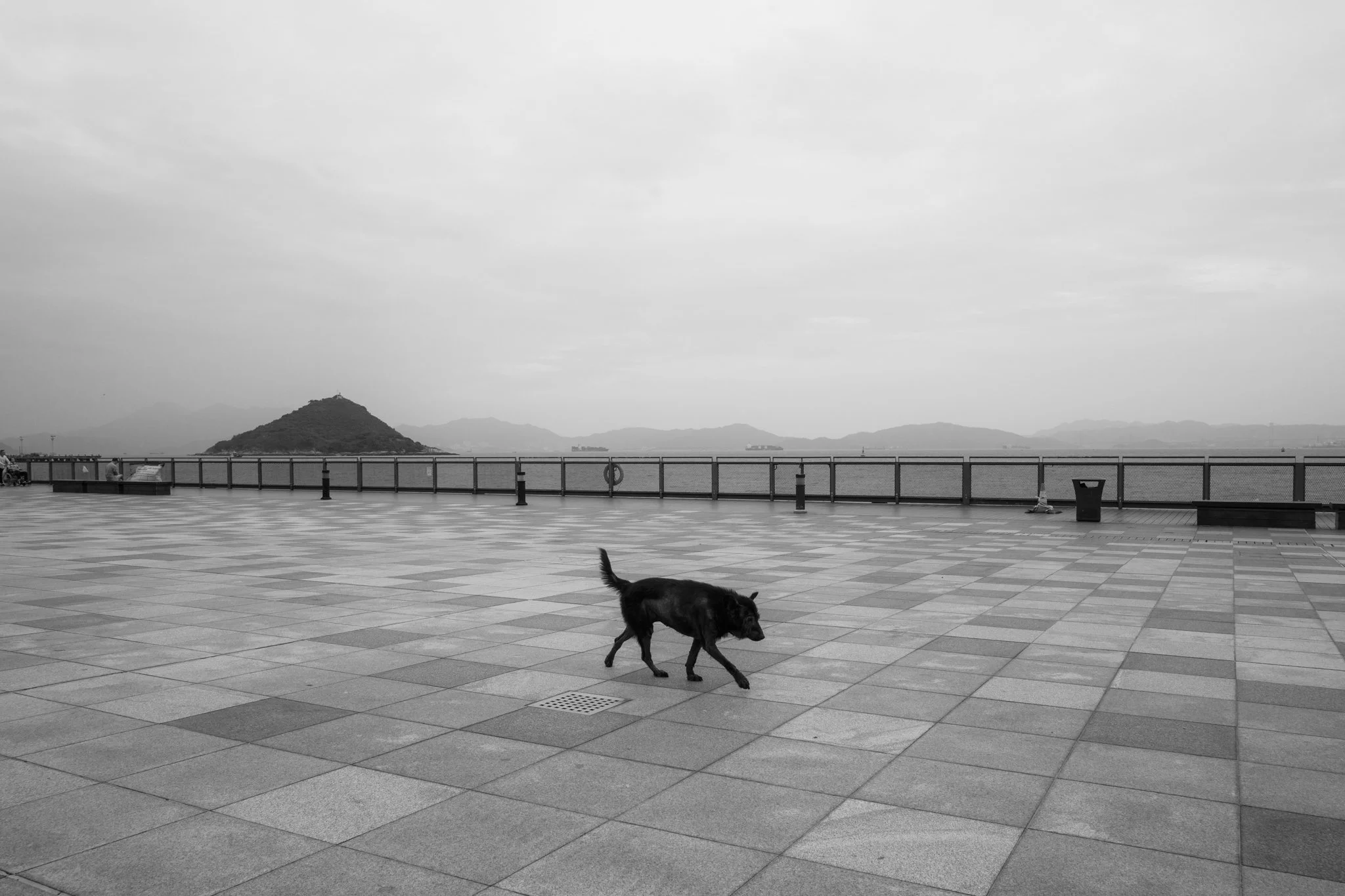 Asia_Mark Hanna_Web-21.jpg