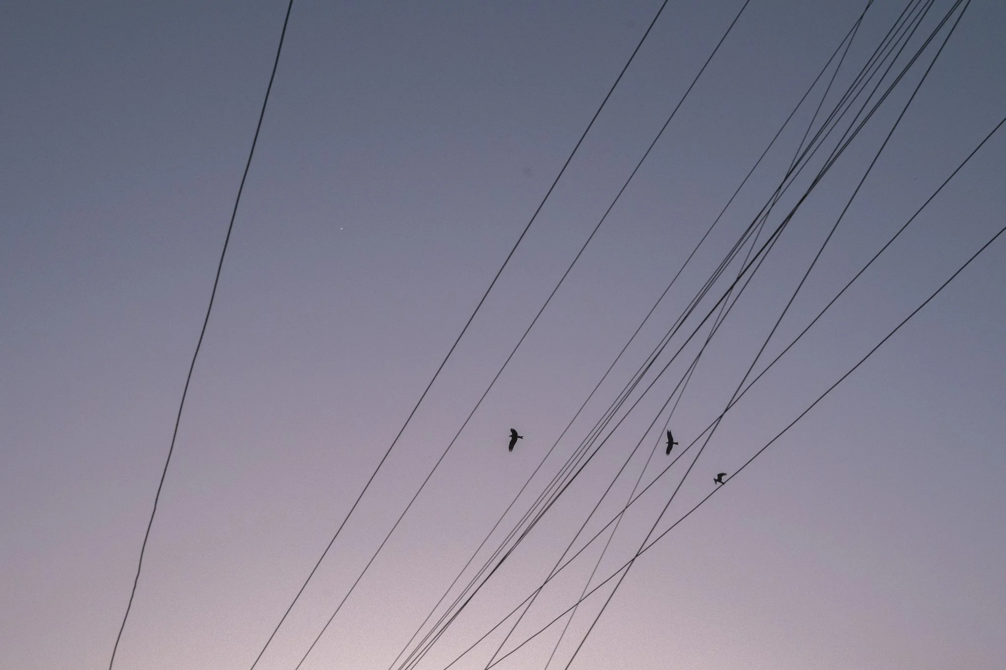 Asia_Mark Hanna_Web-10.jpg