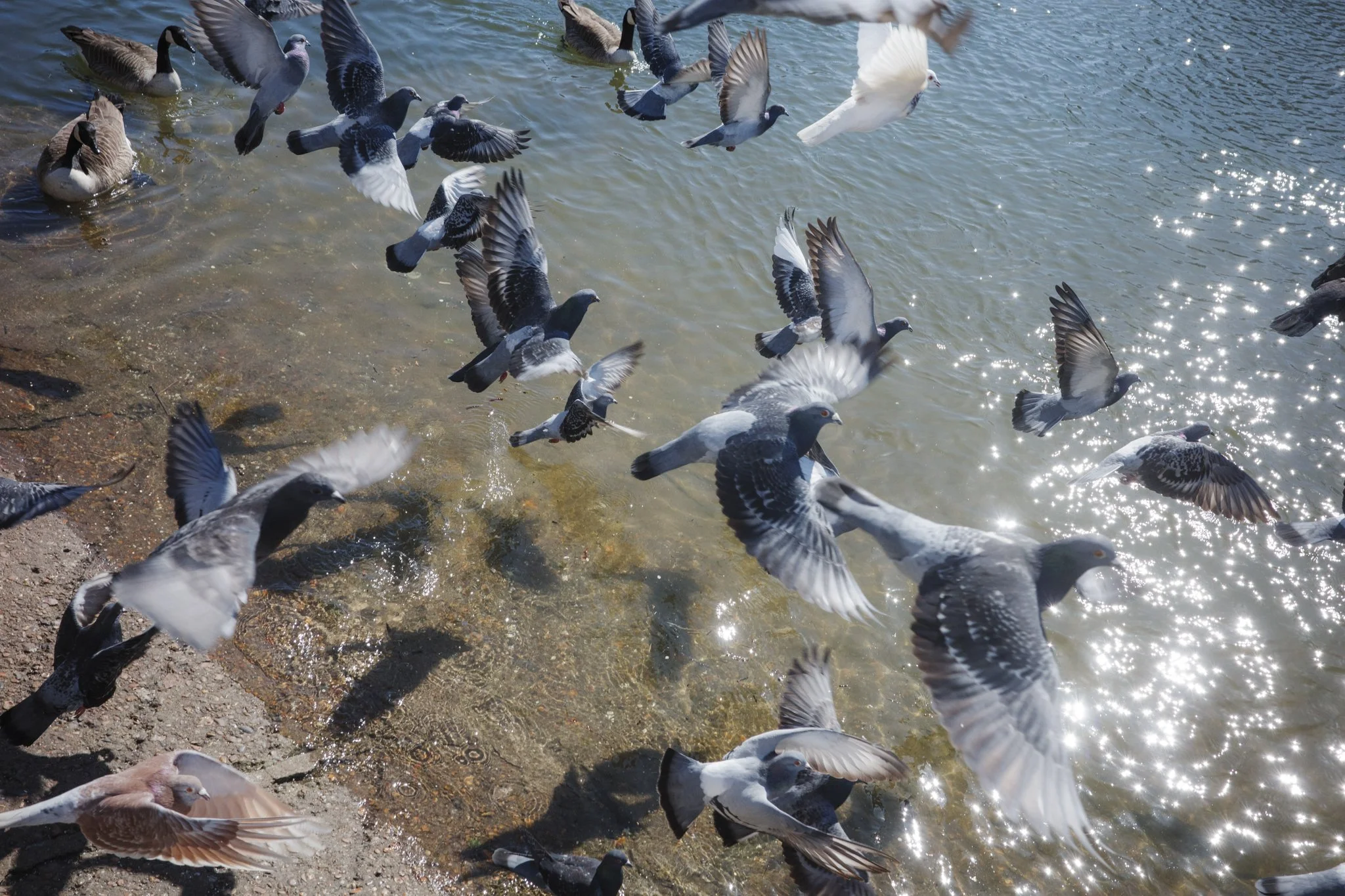 London_Mark Hanna_Web-29.jpg